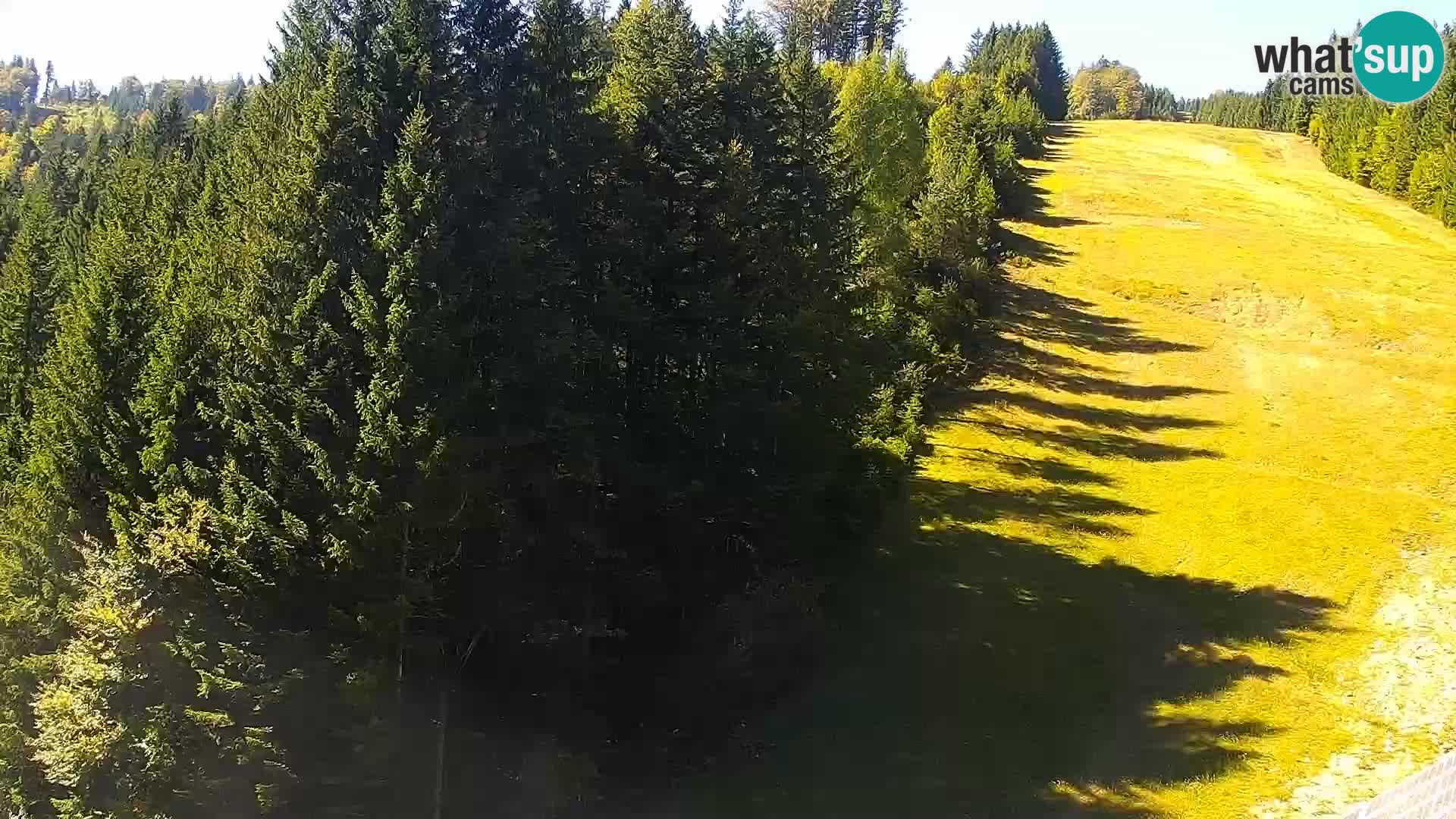 Livecam Rogla apartments Dandi – Jurgovo