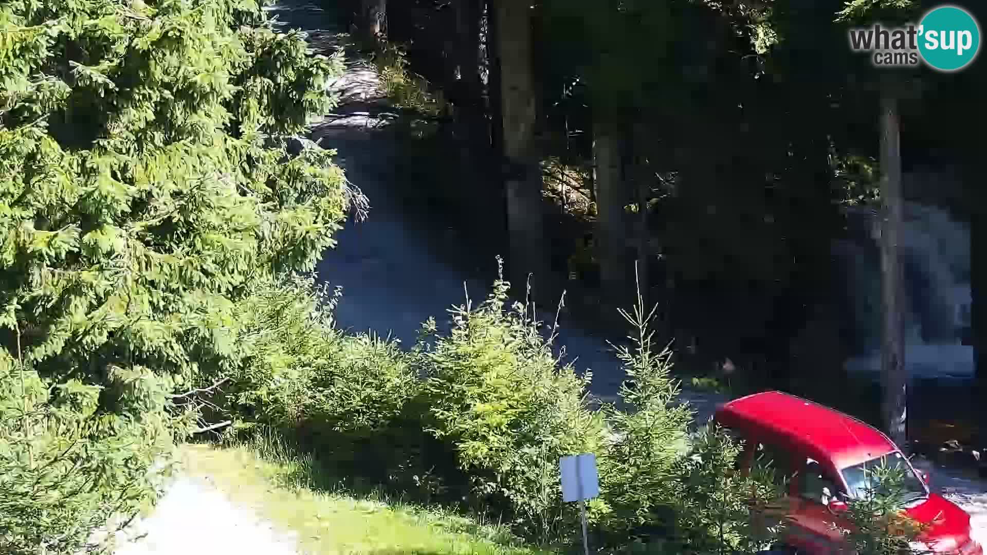 Webcam Rogla Wohnungen Dandi – Jurgovo