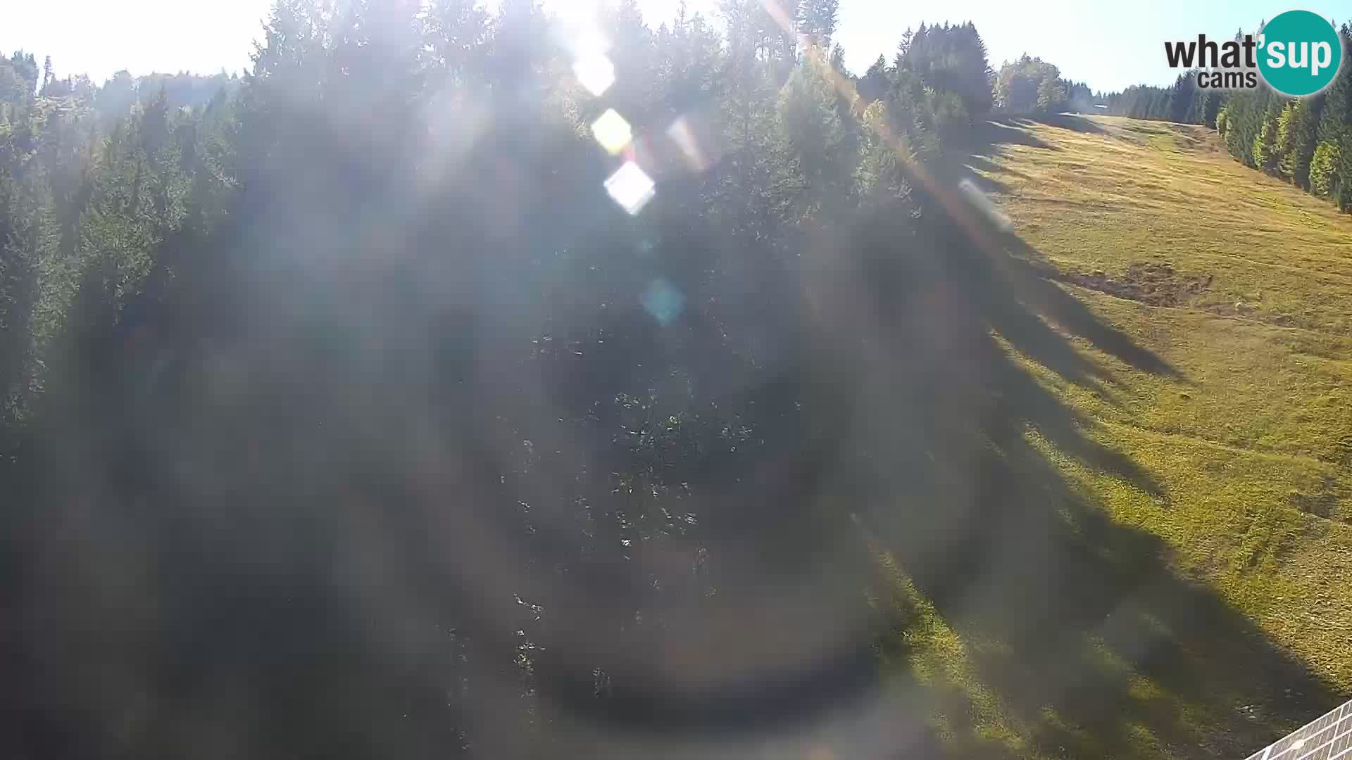 Camera en vivo Rogla appartamentos Dandi – Jurgovo