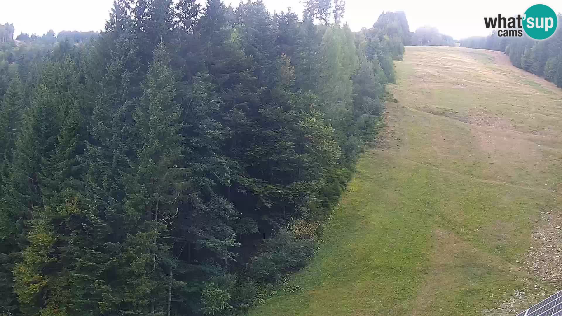 Spletna kamera Rogla apartmaji Dandi – Jurgovo