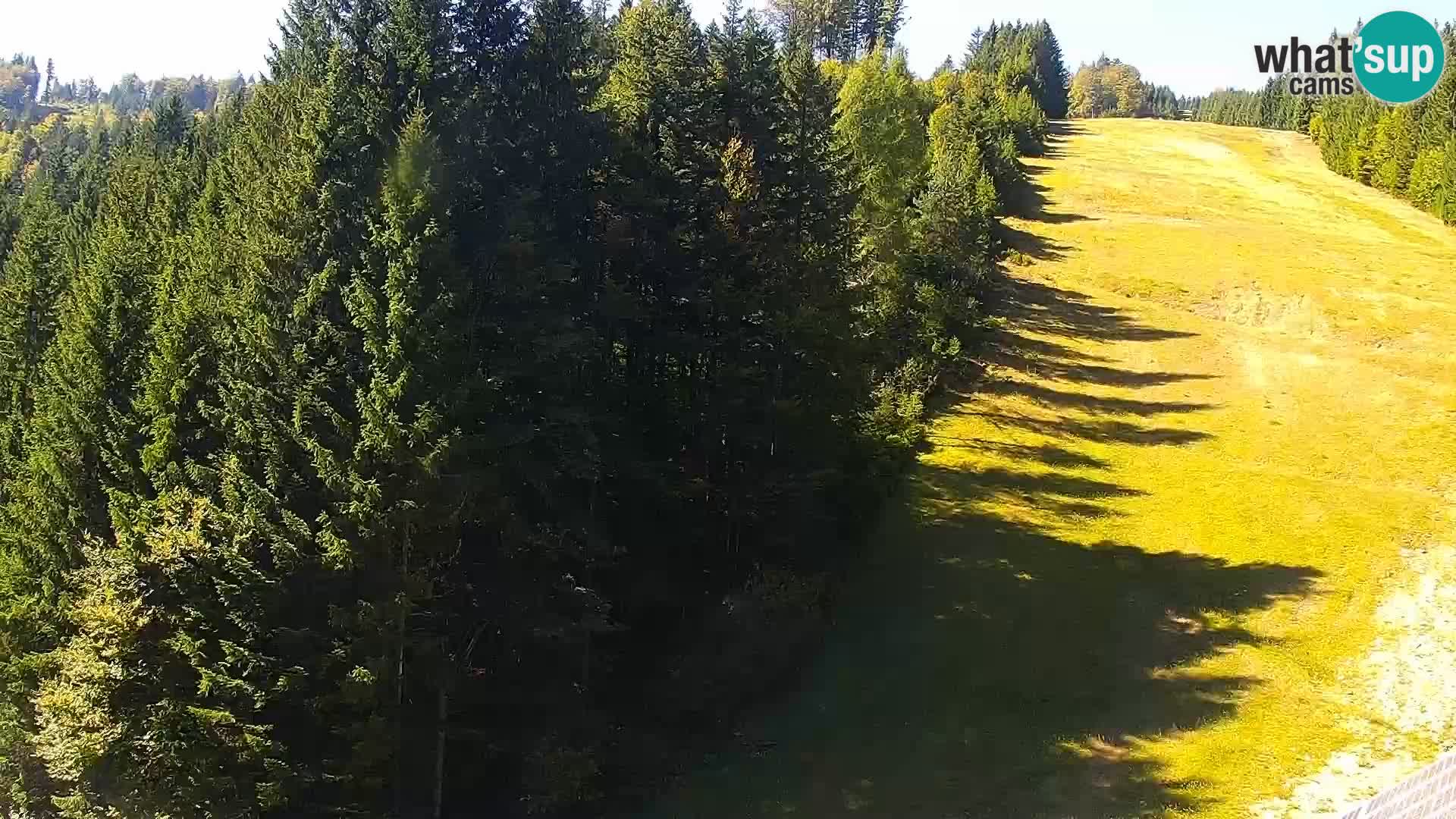 Live Rogla appartements Dandi – Jurgovo