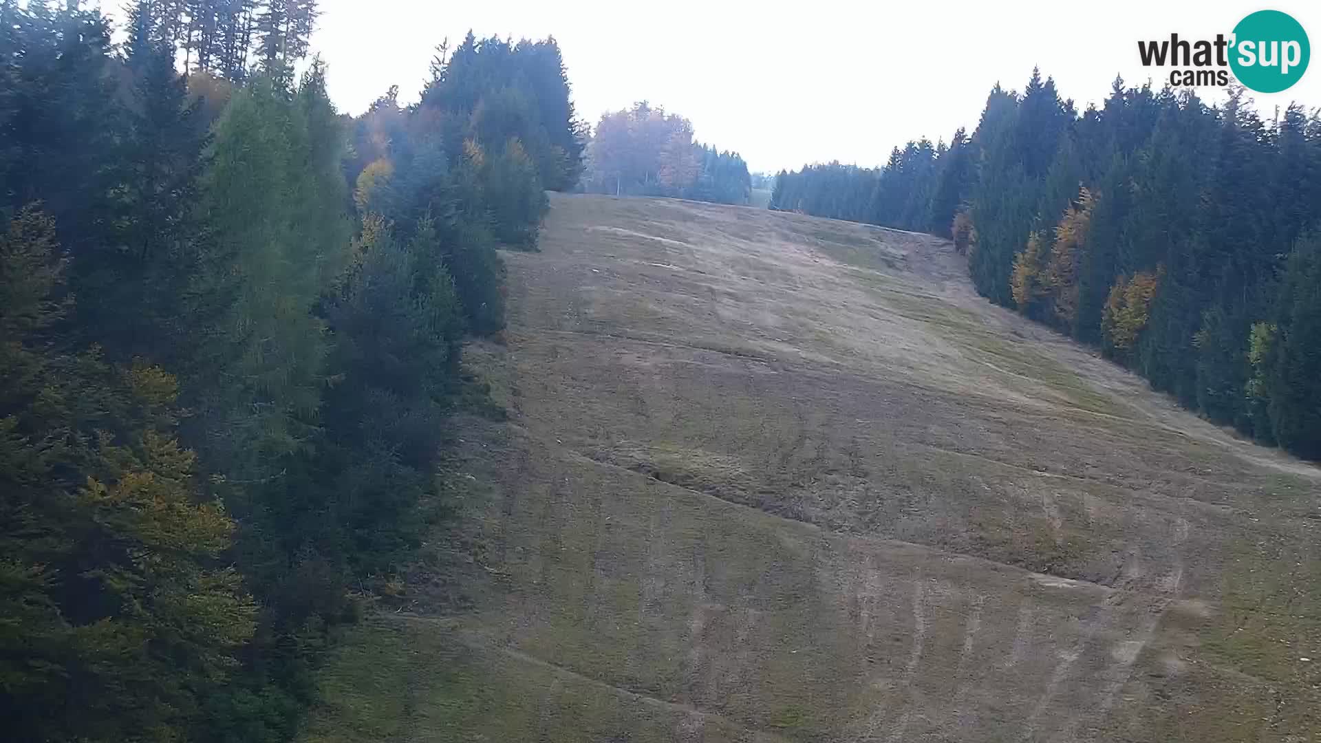 Webcam Rogla Wohnungen Dandi – Jurgovo