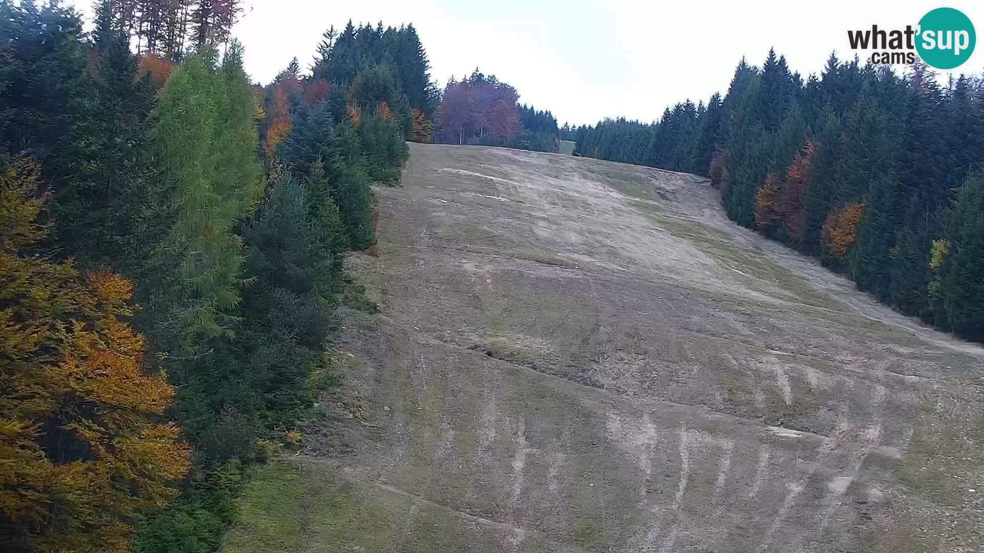Livecam Rogla apartments Dandi – Jurgovo