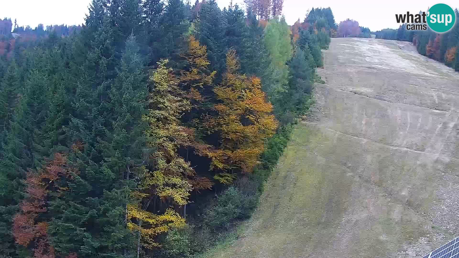 Spletna kamera Rogla apartmaji Dandi – Jurgovo