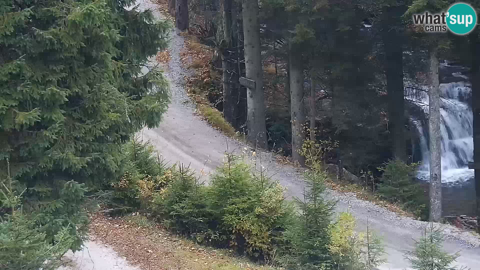 Camera en vivo Rogla appartamentos Dandi – Jurgovo