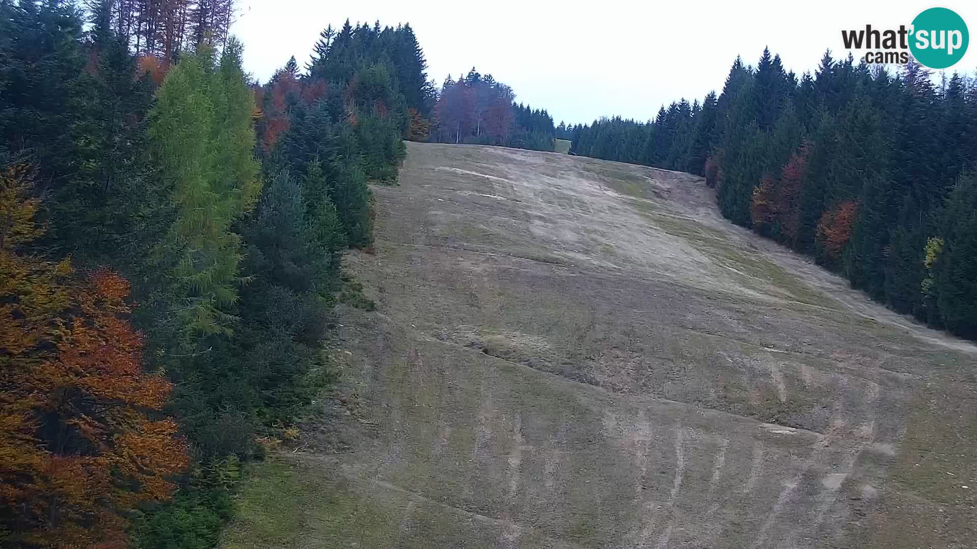 Live webcam Rogla appartamenti Dandi – Jurgovo
