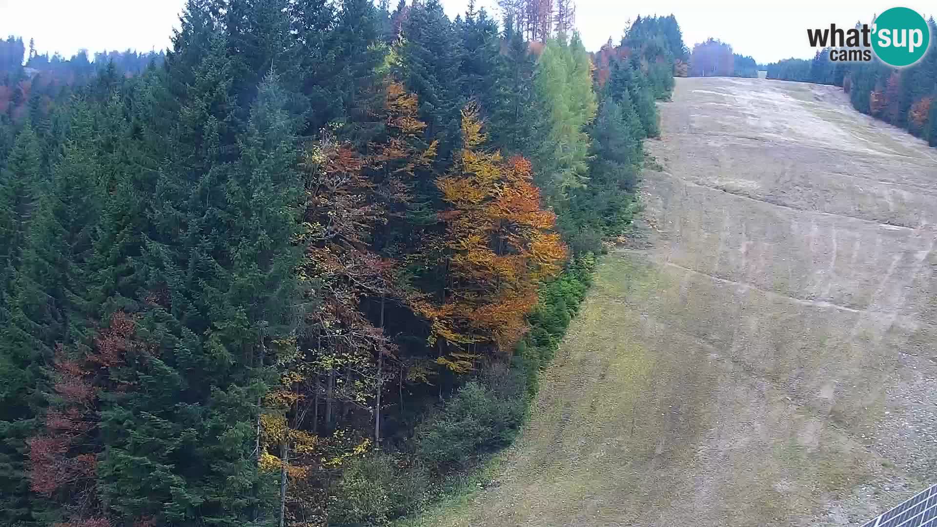 Livecam Rogla apartments Dandi – Jurgovo