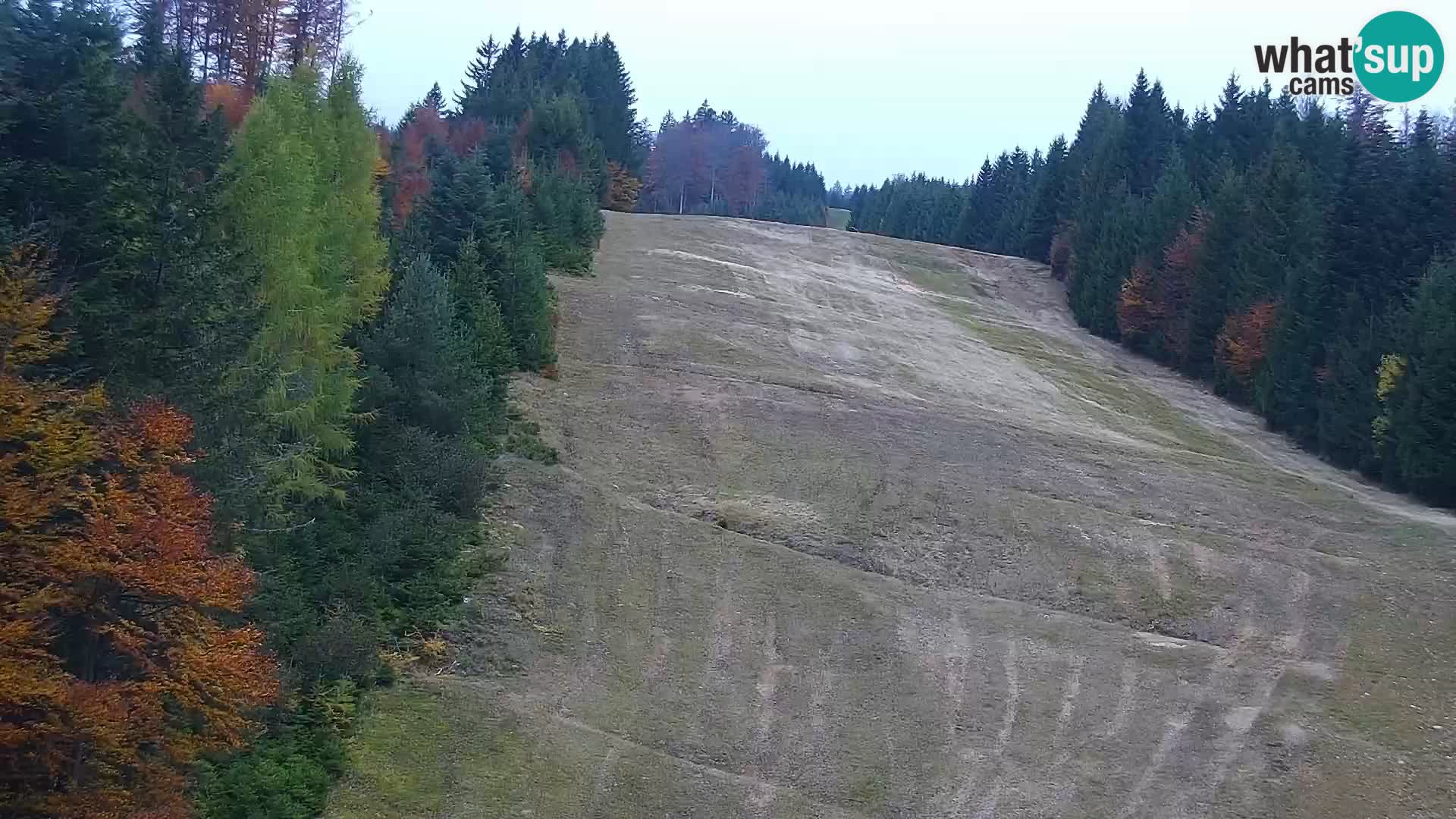 Webcam Rogla Wohnungen Dandi – Jurgovo