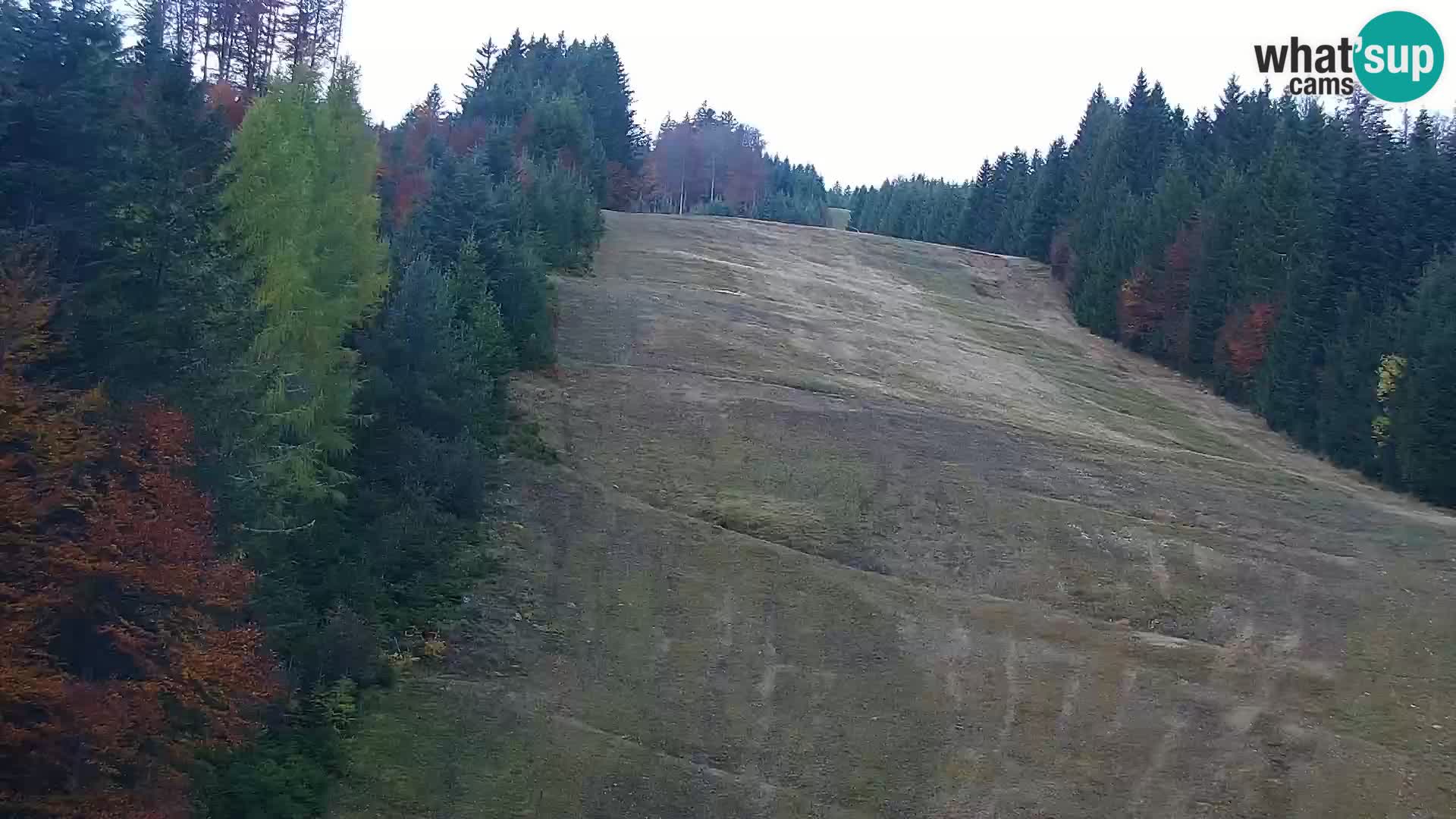 Livecam Rogla apartments Dandi – Jurgovo