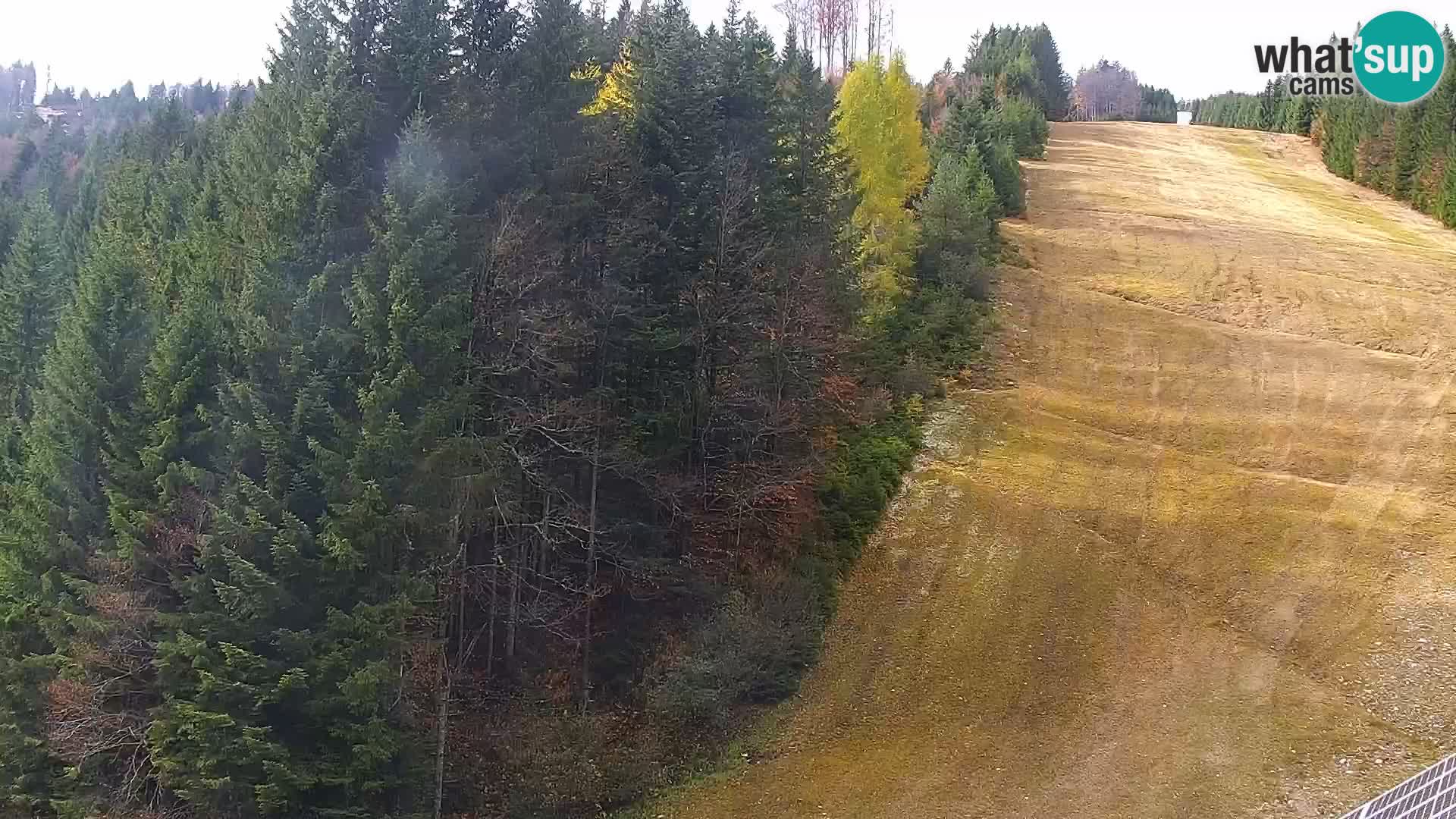 Web kamera Rogla apartmani Dandi – Jurgovo
