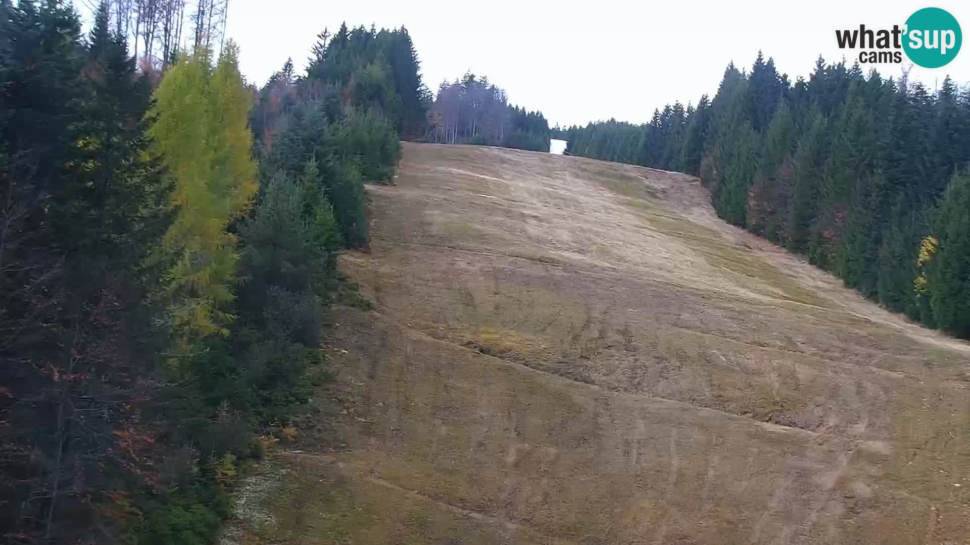 Camera en vivo Rogla appartamentos Dandi – Jurgovo