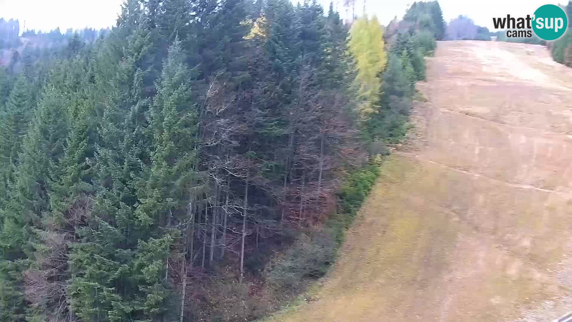 Livecam Rogla apartments Dandi – Jurgovo