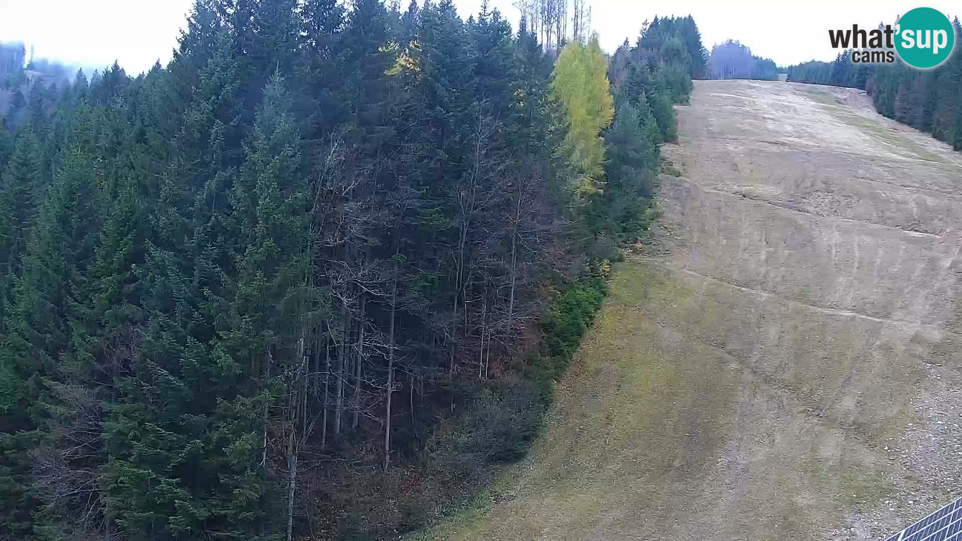 Spletna kamera Rogla apartmaji Dandi – Jurgovo