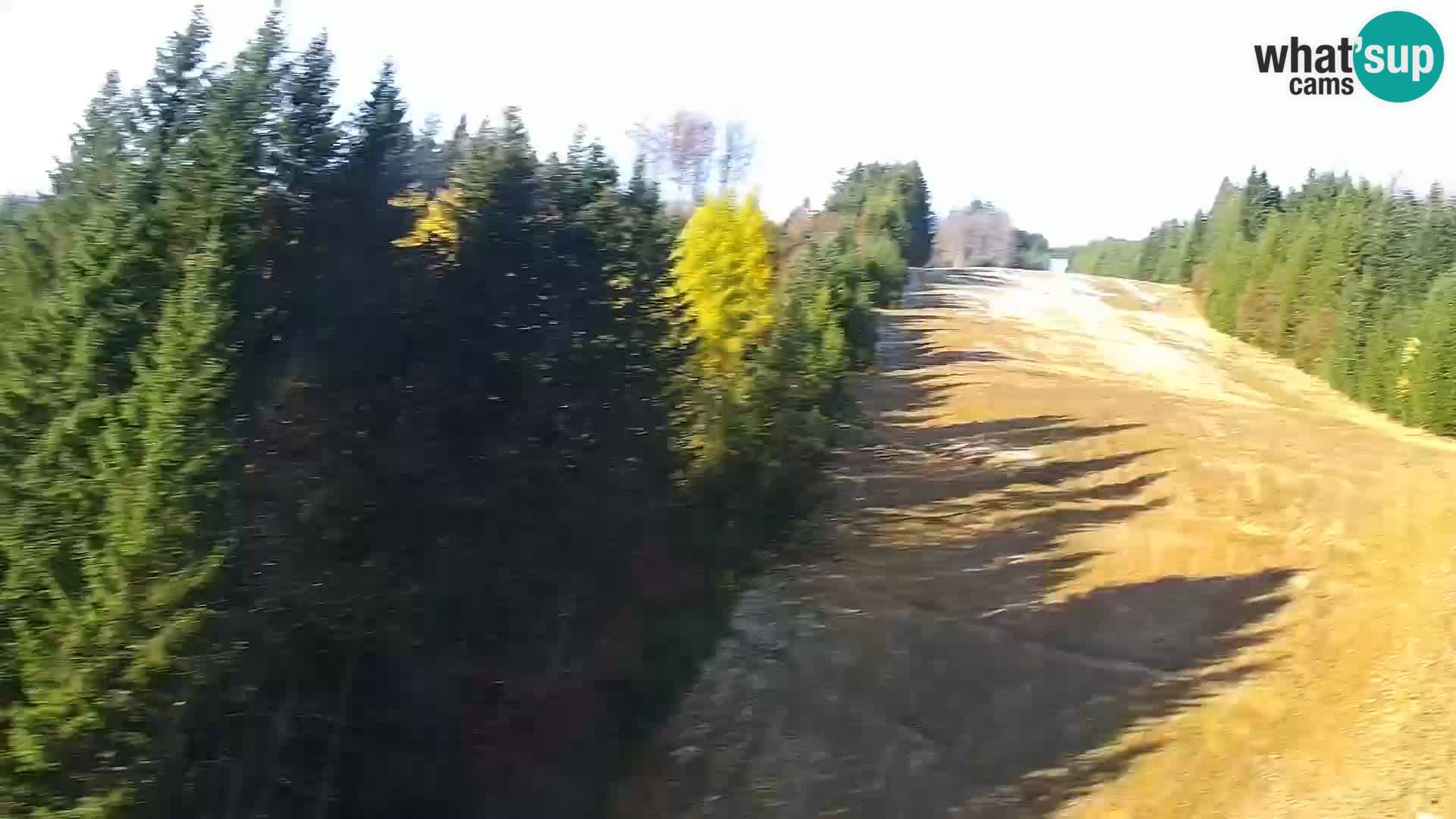 Webcam Rogla Wohnungen Dandi – Jurgovo