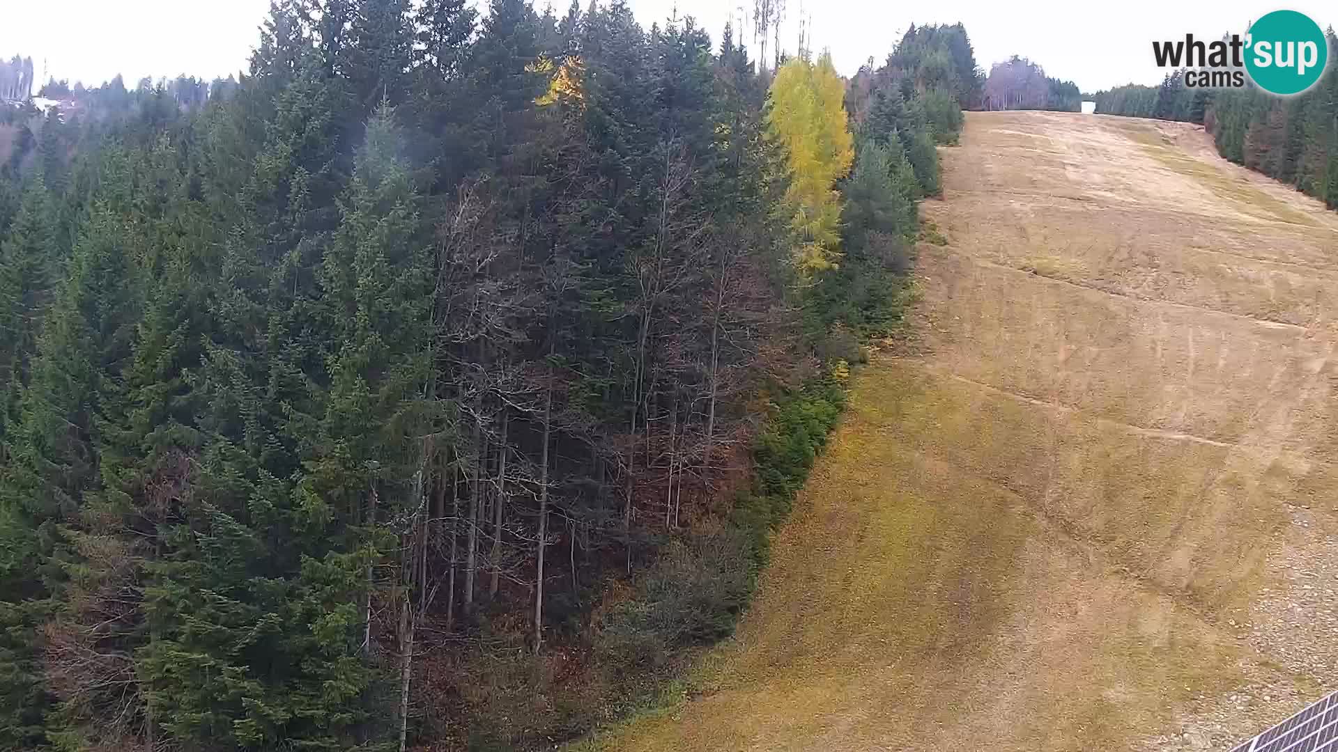 Webcam Rogla Wohnungen Dandi – Jurgovo
