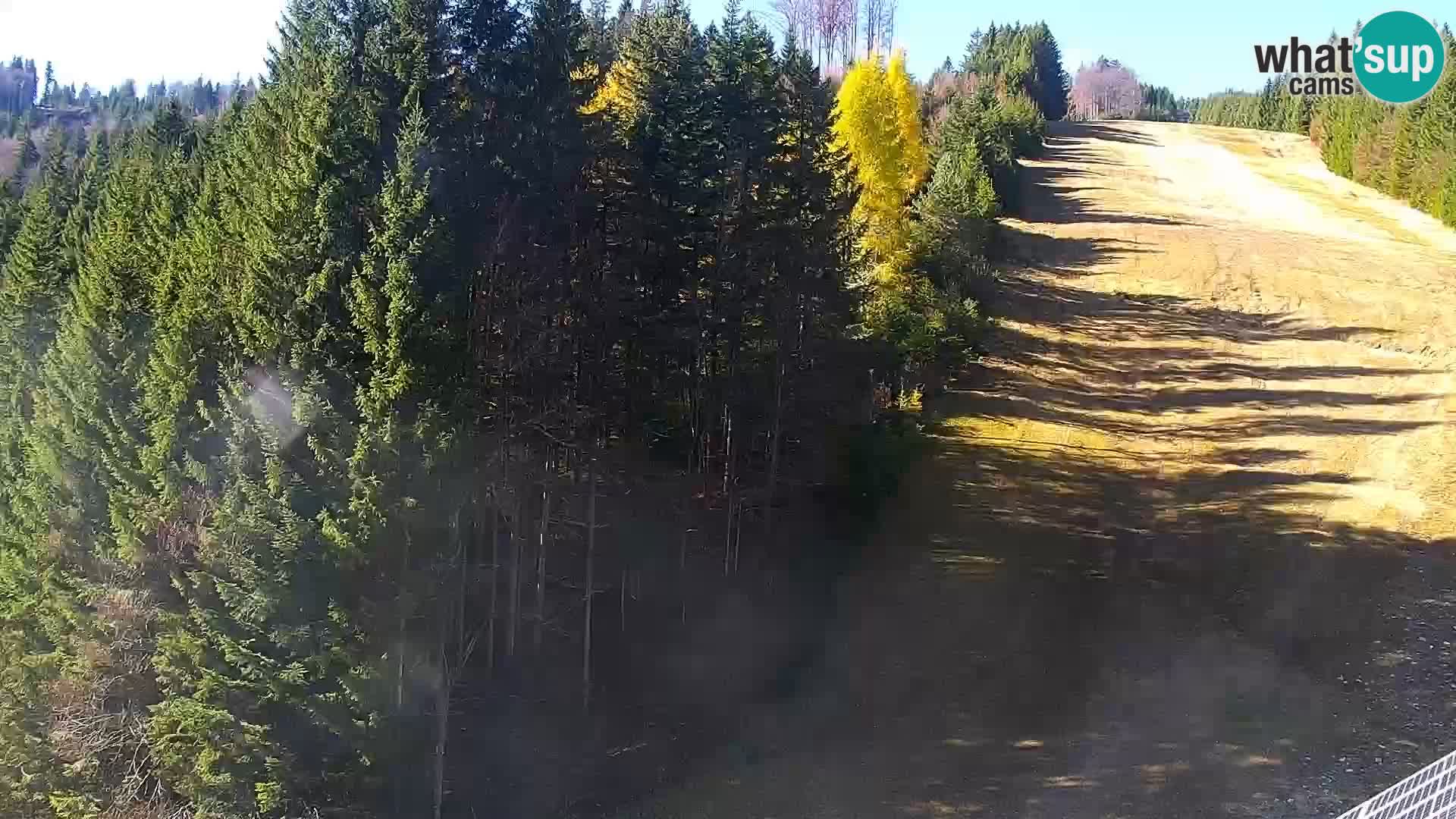 Livecam Rogla apartments Dandi – Jurgovo