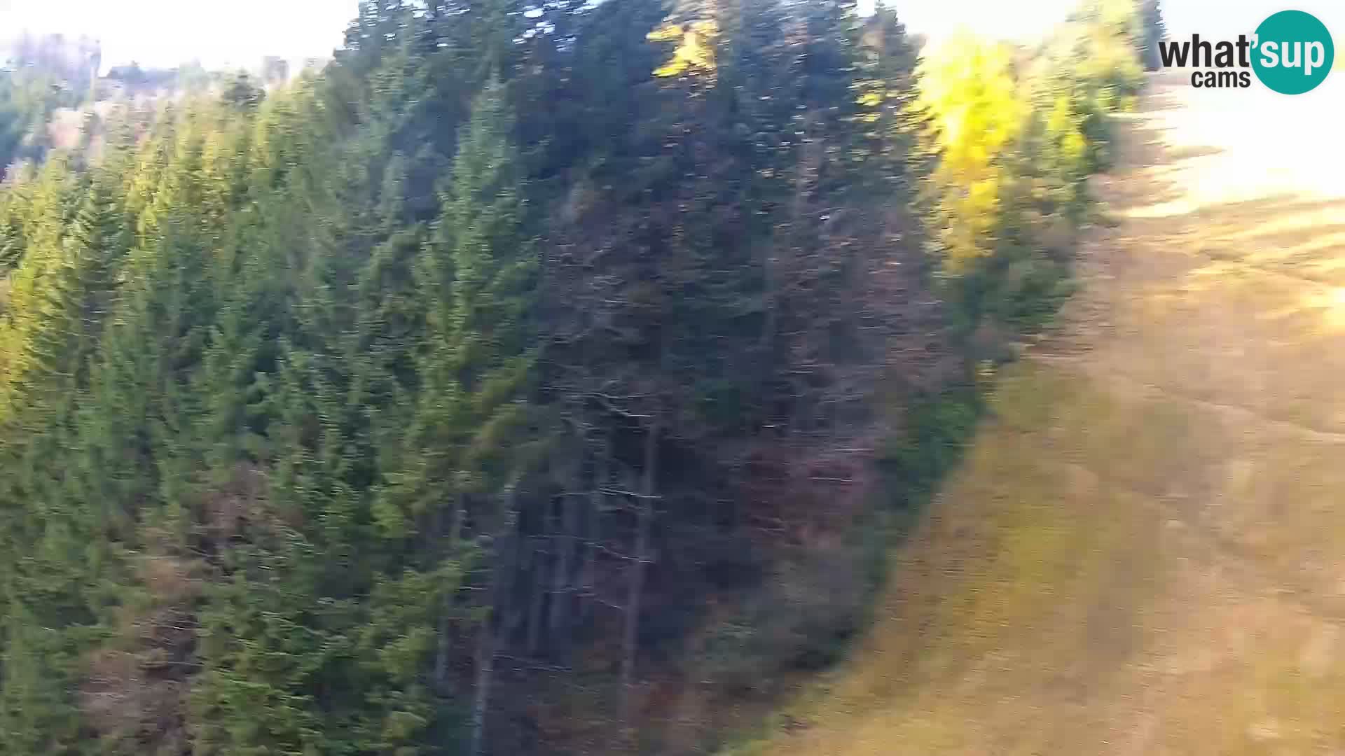 Web kamera Rogla apartmani Dandi – Jurgovo