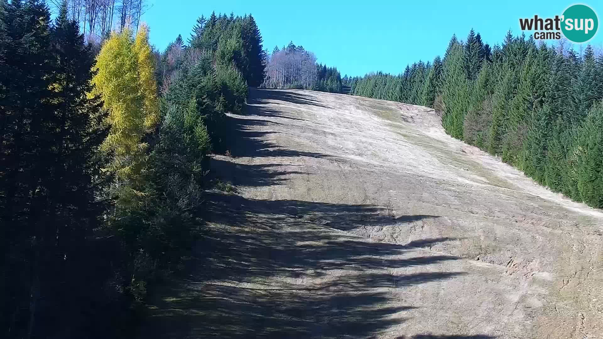 Live Rogla appartements Dandi – Jurgovo