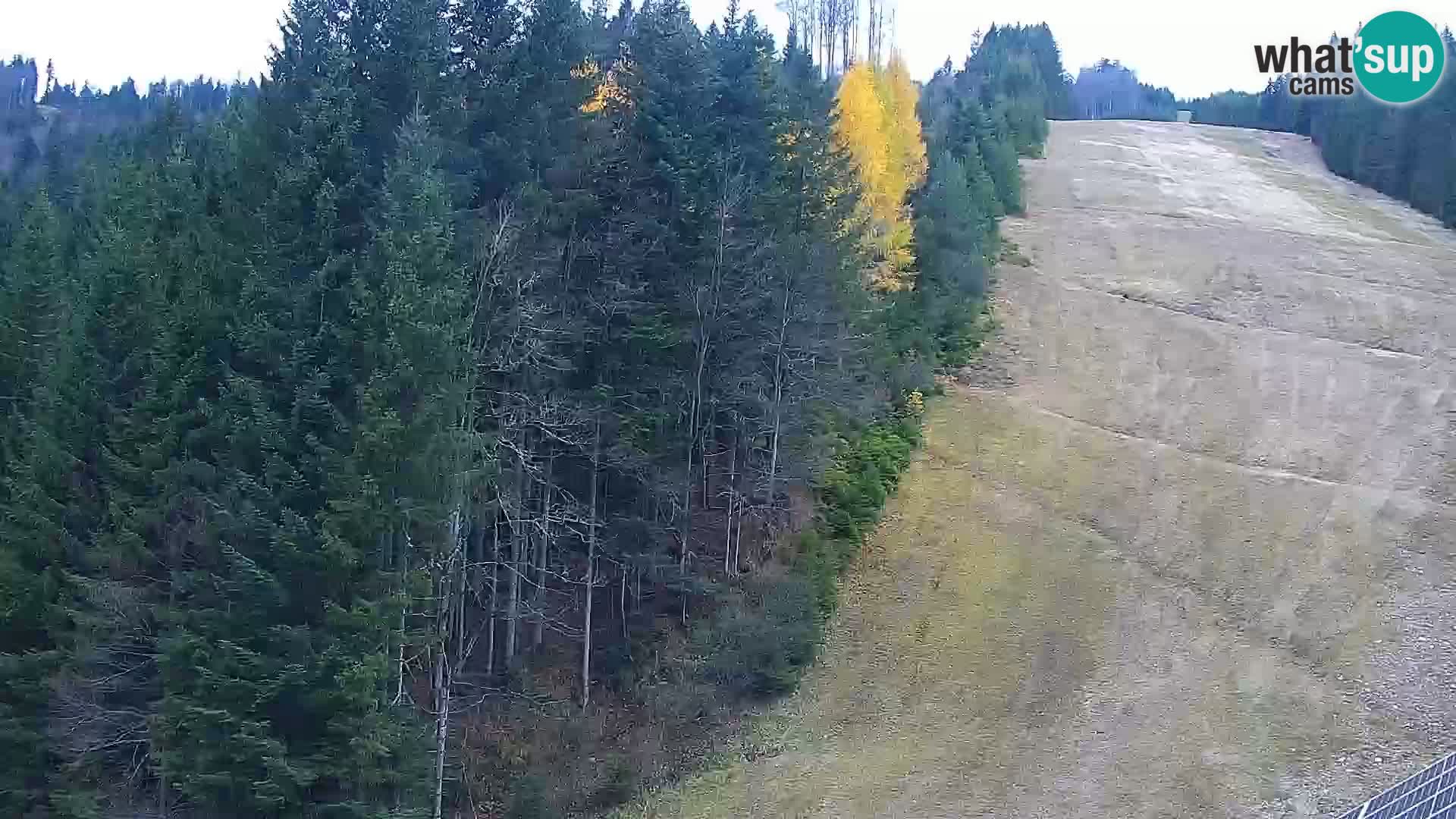 Live Rogla appartements Dandi – Jurgovo