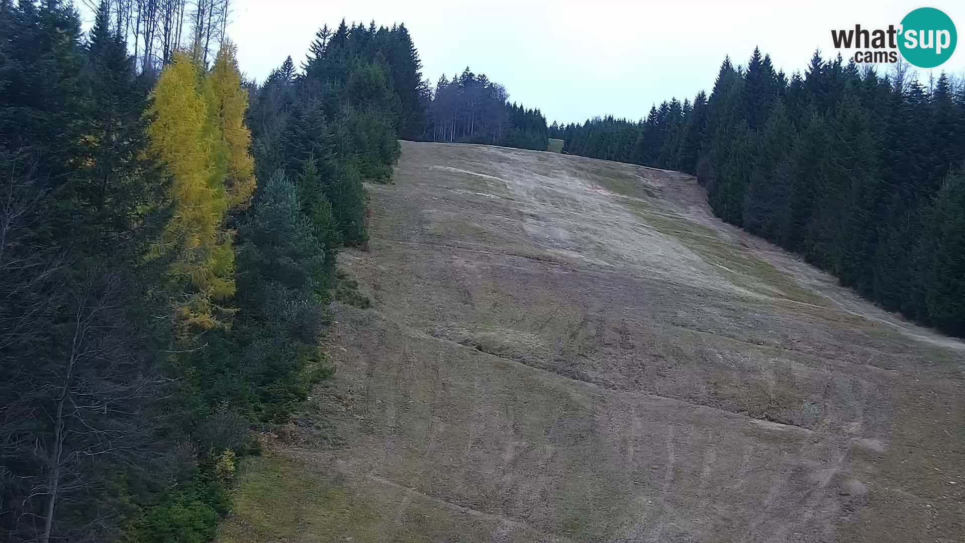 Livecam Rogla apartments Dandi – Jurgovo