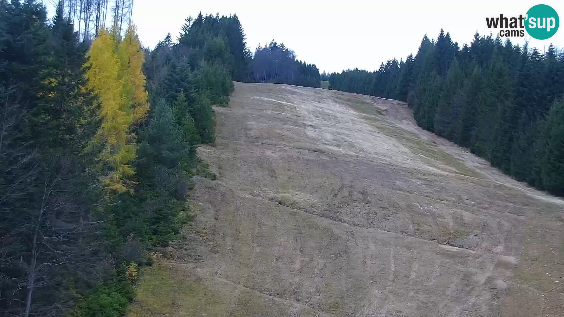 Live Rogla appartements Dandi – Jurgovo