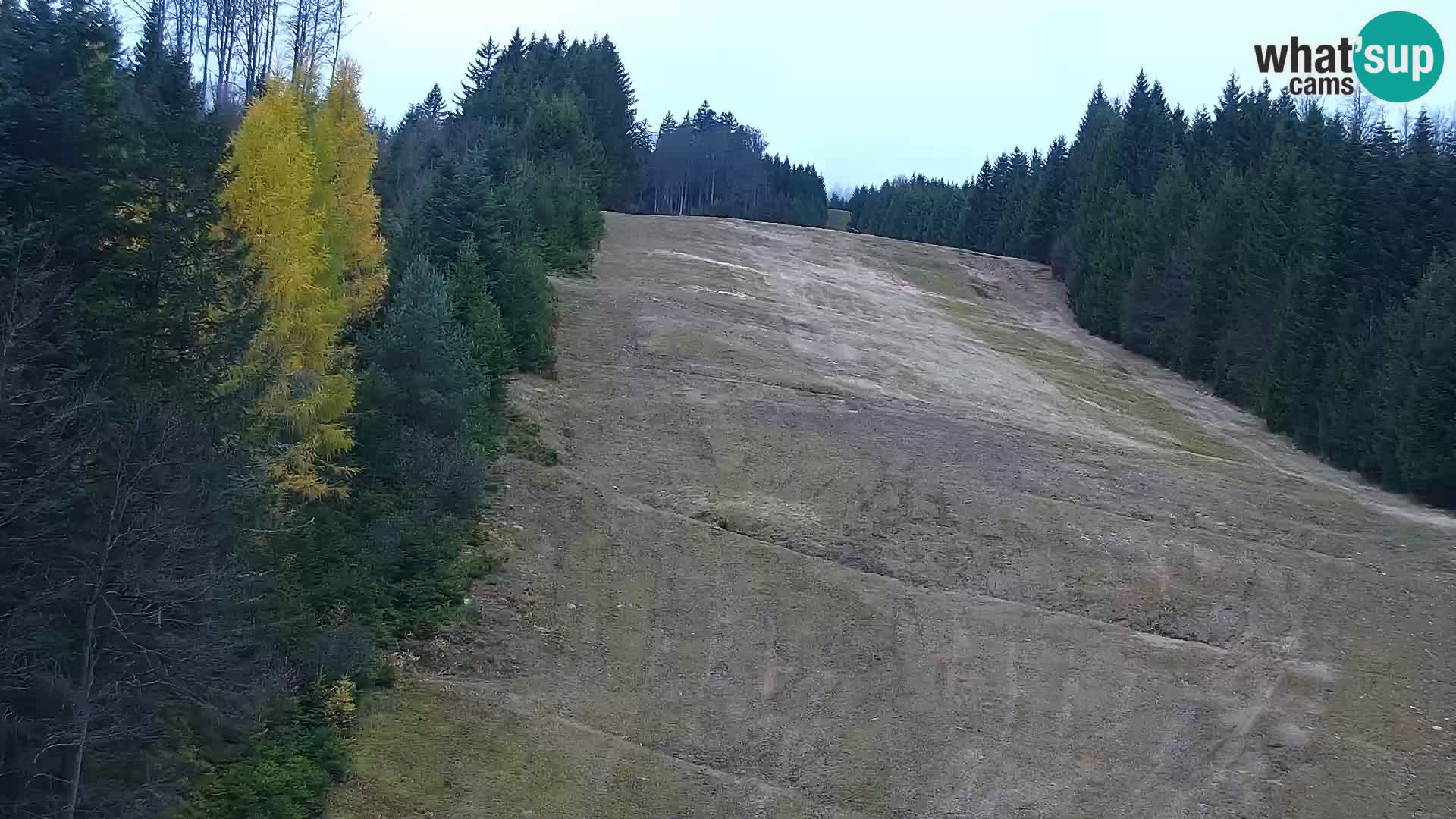 Webcam Rogla Wohnungen Dandi – Jurgovo