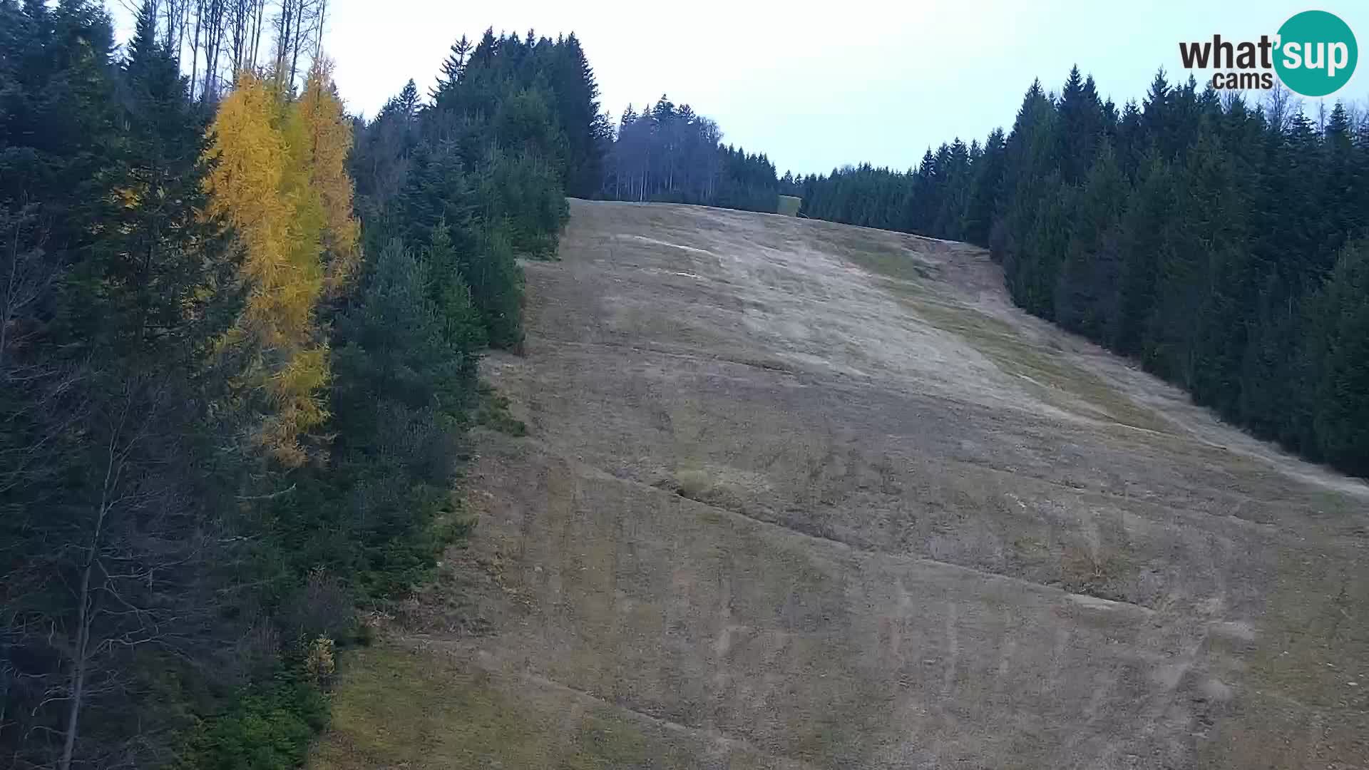 Spletna kamera Rogla apartmaji Dandi – Jurgovo