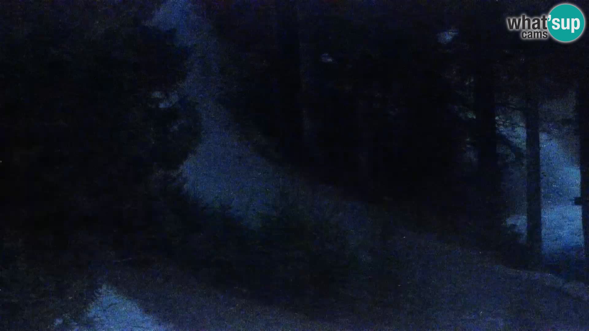 Live Rogla appartements Dandi – Jurgovo