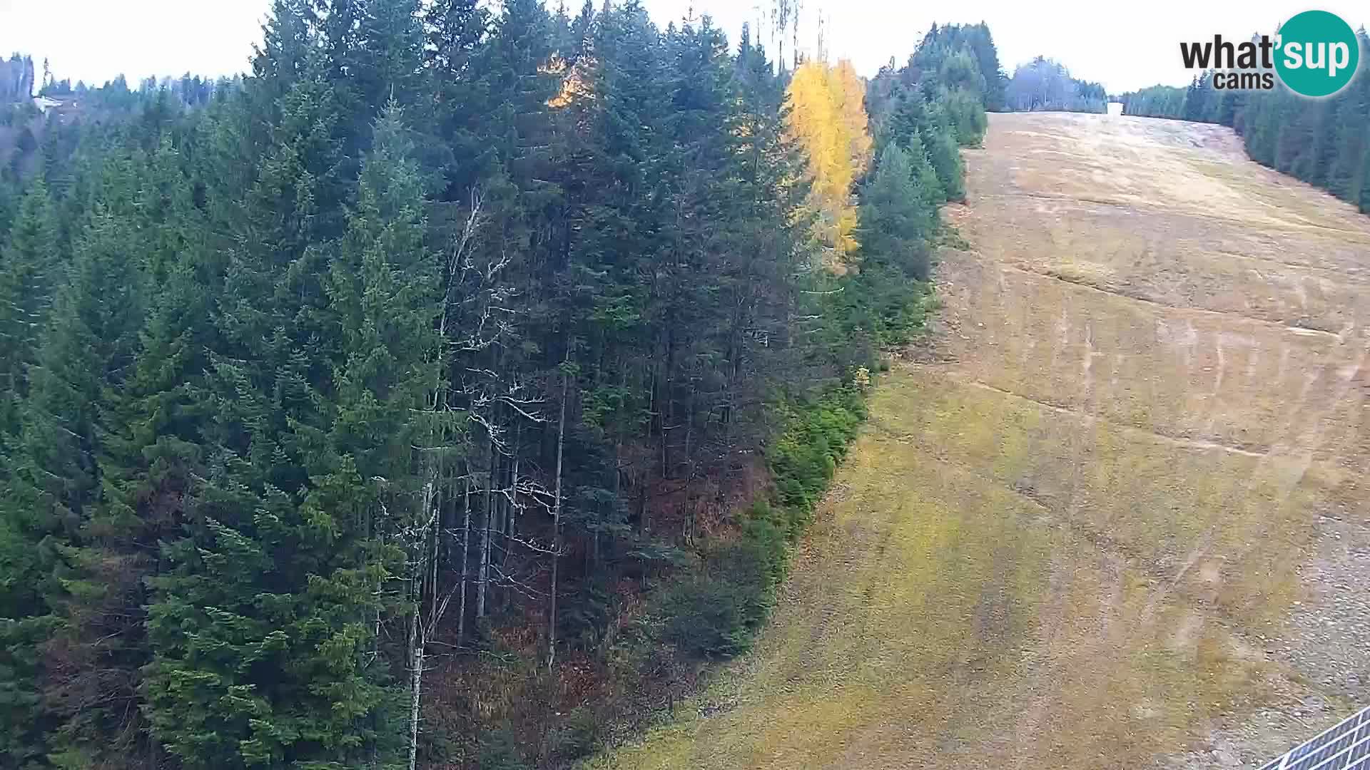 Camera en vivo Rogla appartamentos Dandi – Jurgovo