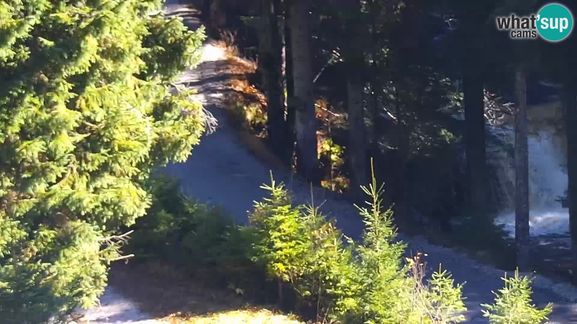 Livecam Rogla apartments Dandi – Jurgovo