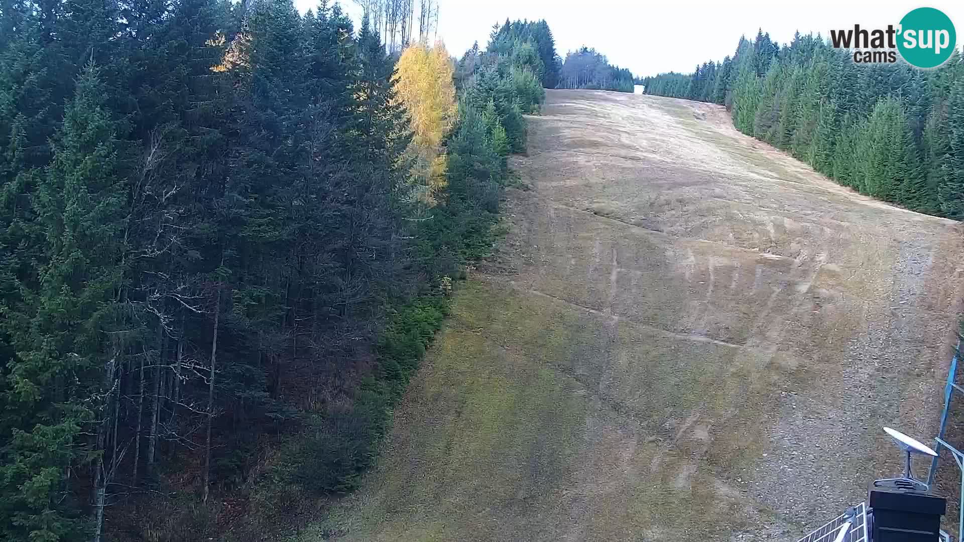 Spletna kamera Rogla apartmaji Dandi – Jurgovo