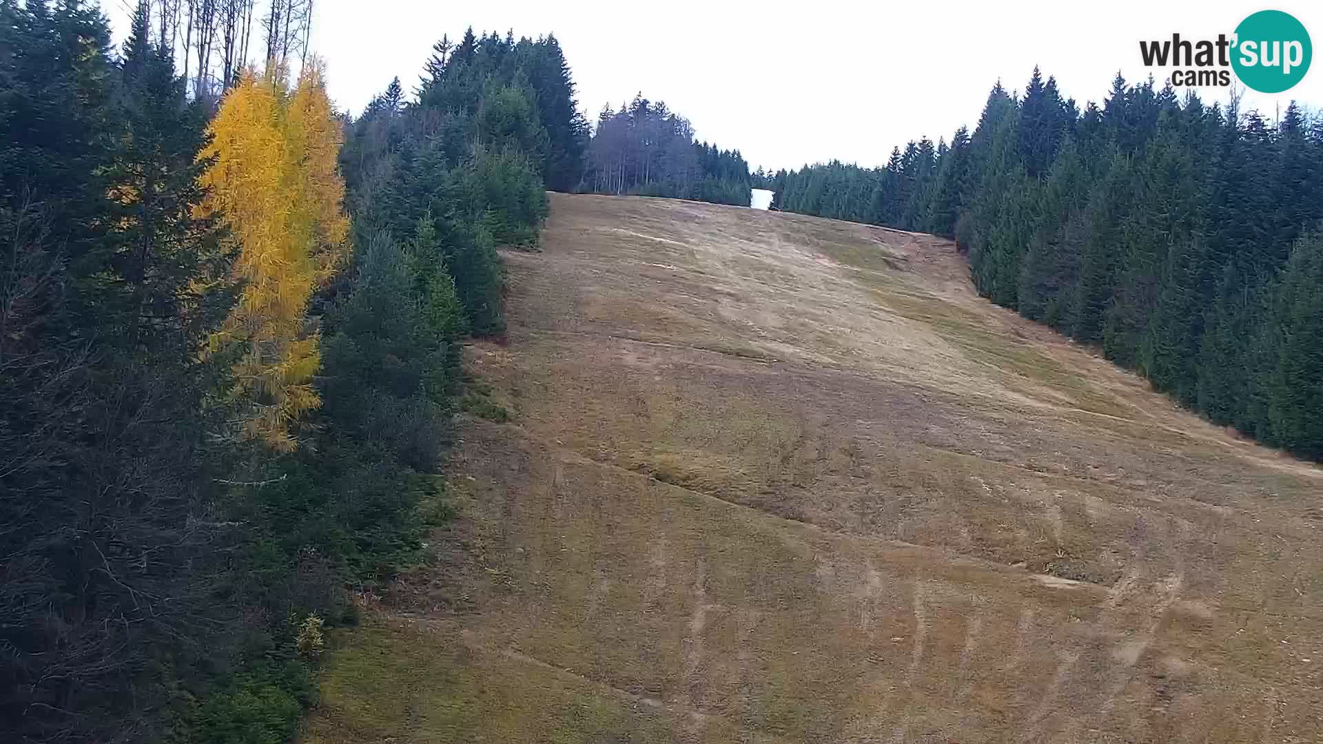 Livecam Rogla apartments Dandi – Jurgovo