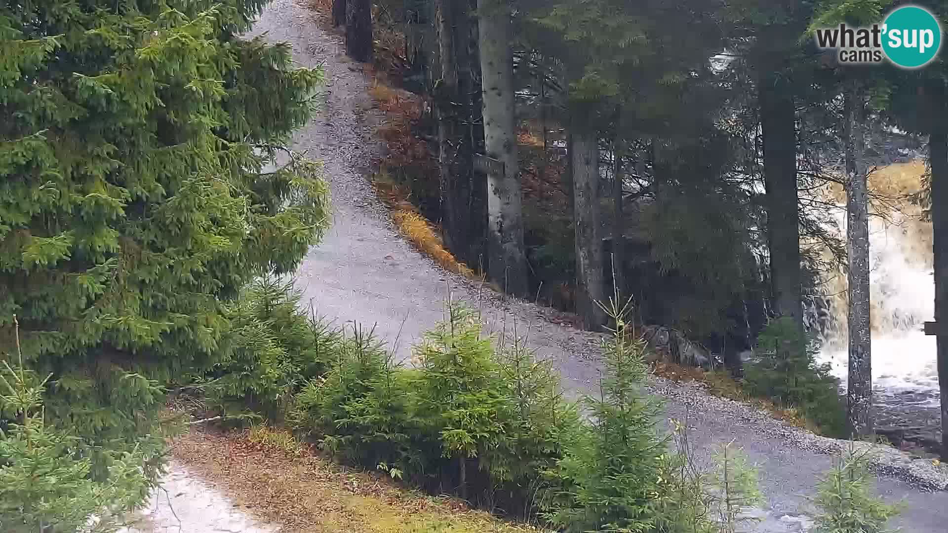 Livecam Rogla apartments Dandi – Jurgovo