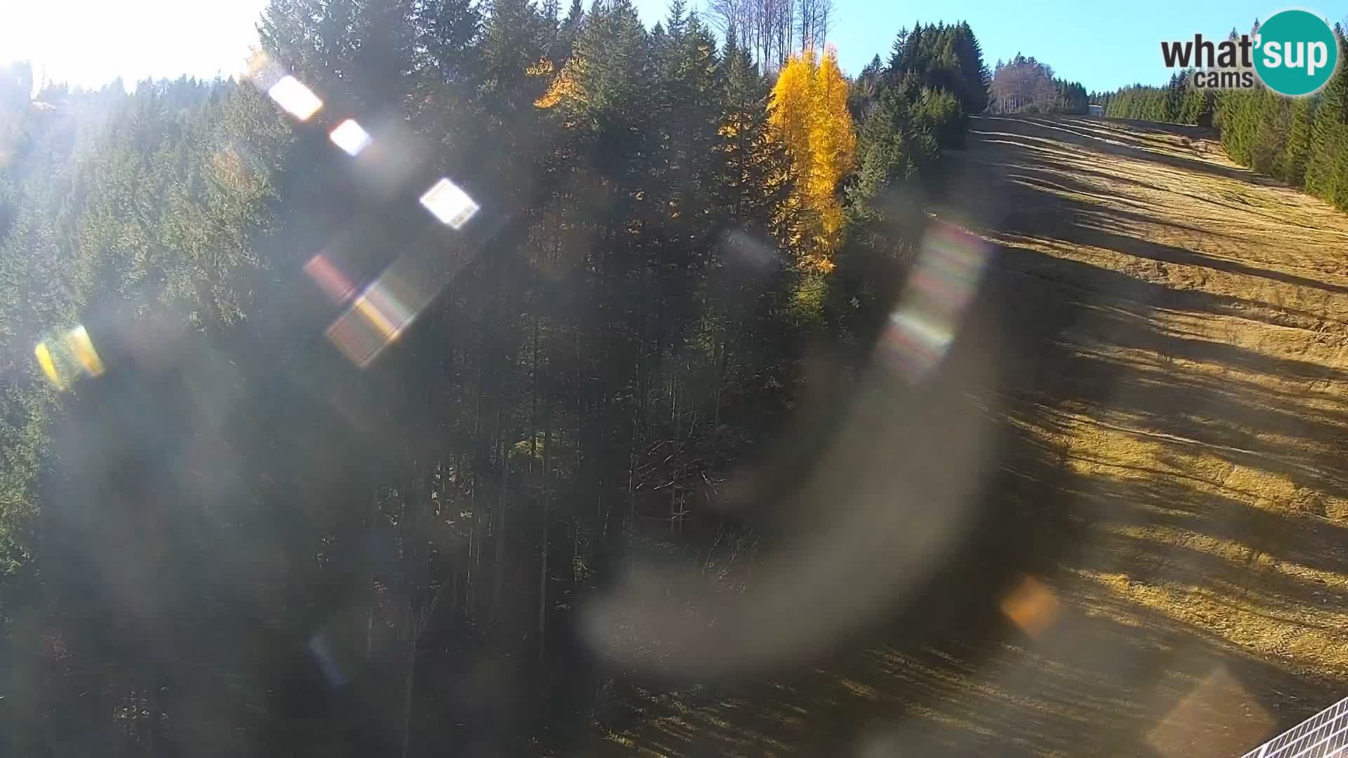 Live Rogla appartements Dandi – Jurgovo