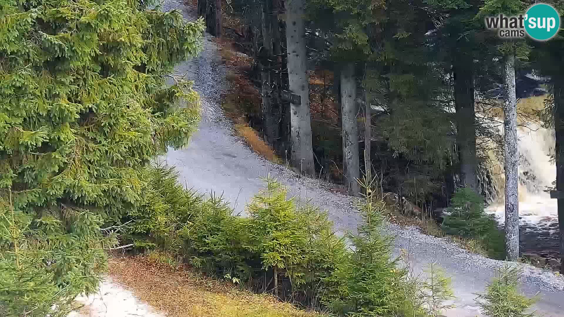 Livecam Rogla apartments Dandi – Jurgovo