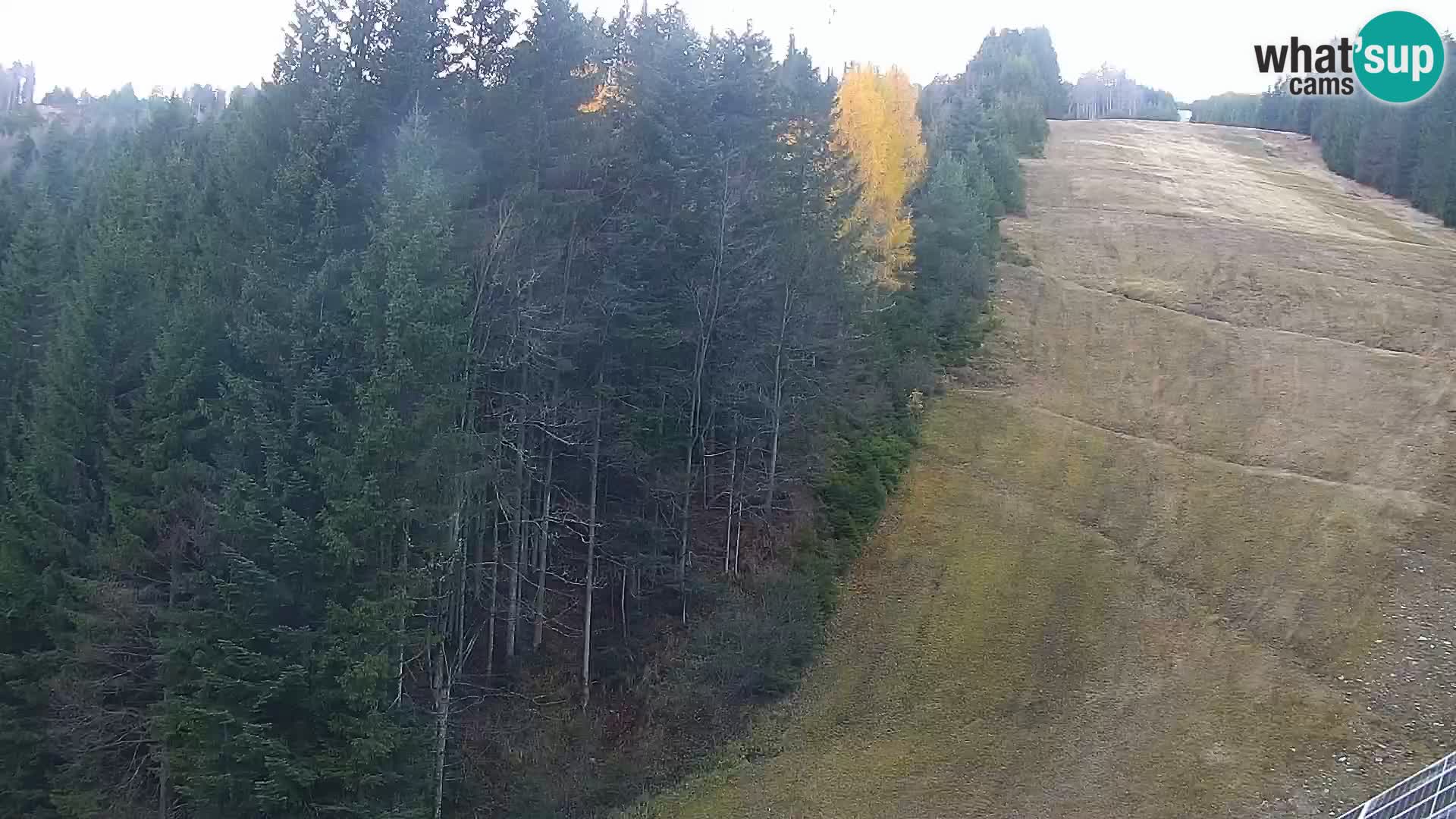 Live webcam Rogla appartamenti Dandi – Jurgovo