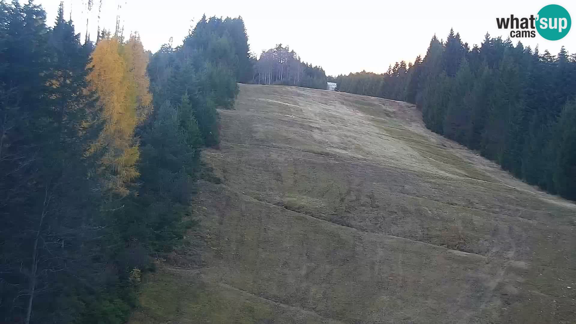 Spletna kamera Rogla apartmaji Dandi – Jurgovo