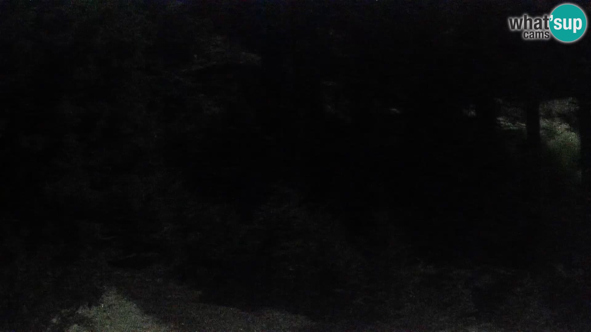 Webcam Rogla Wohnungen Dandi – Jurgovo