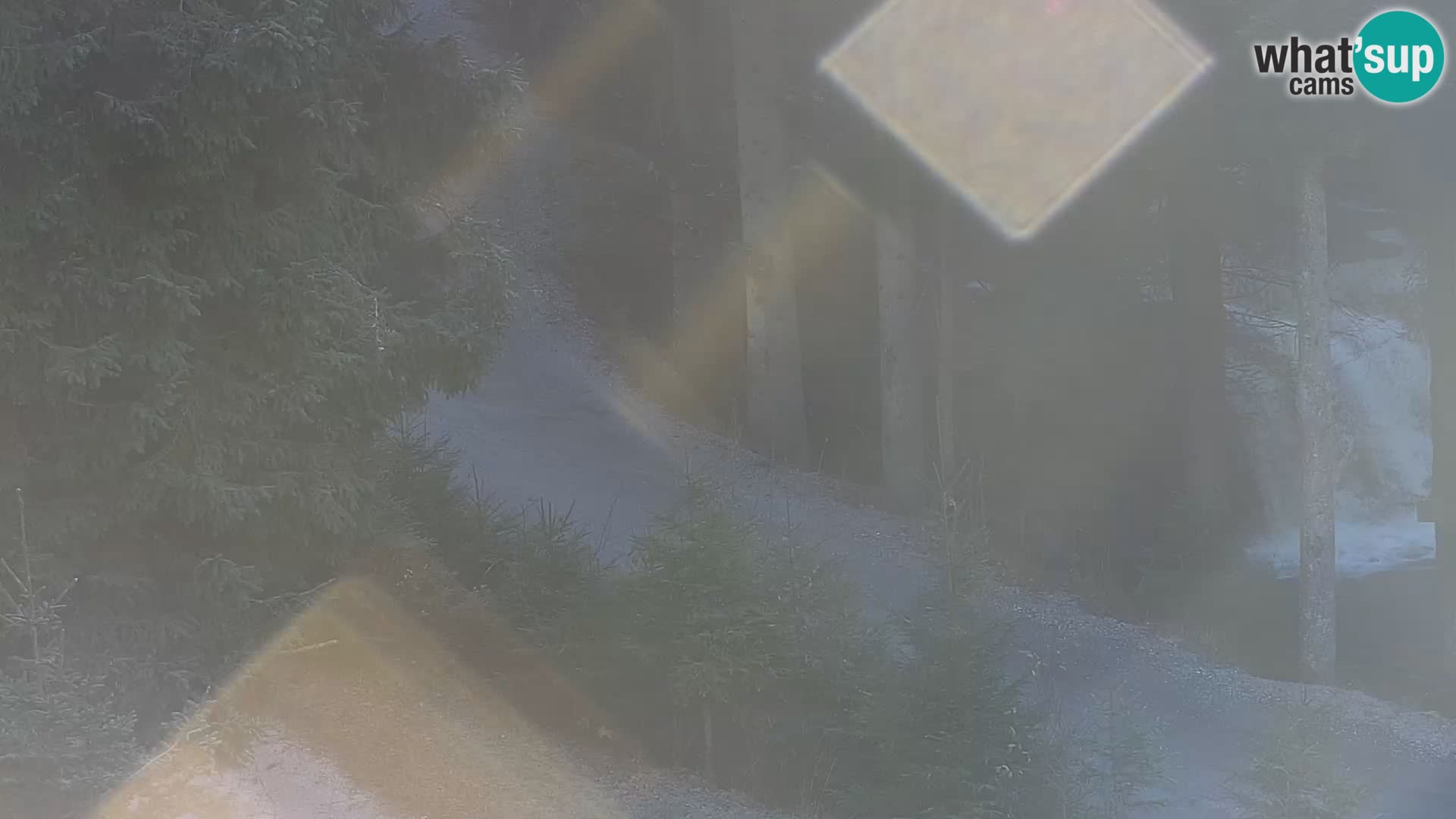 Webcam Rogla Wohnungen Dandi – Jurgovo