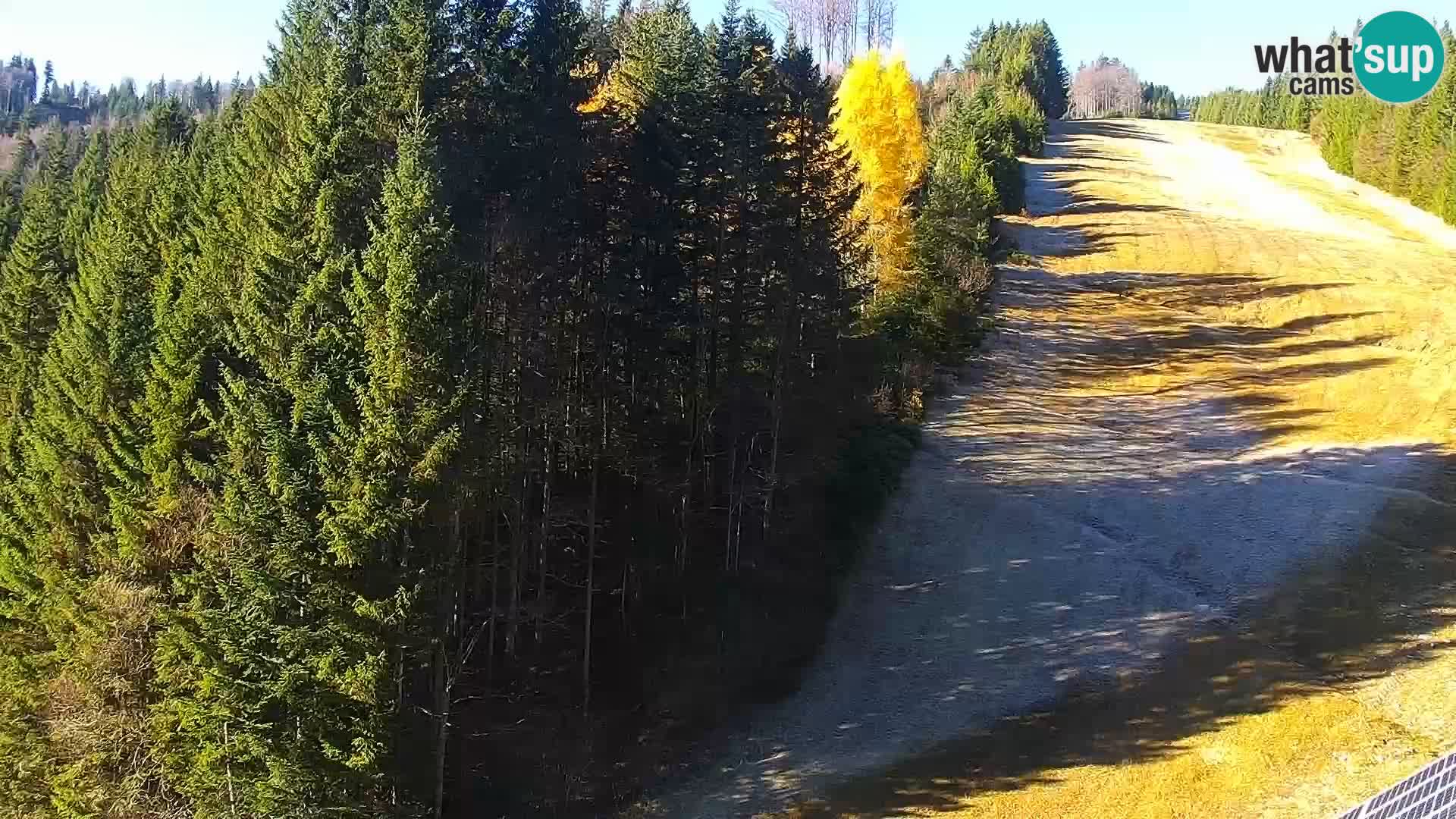 Livecam Rogla apartments Dandi – Jurgovo