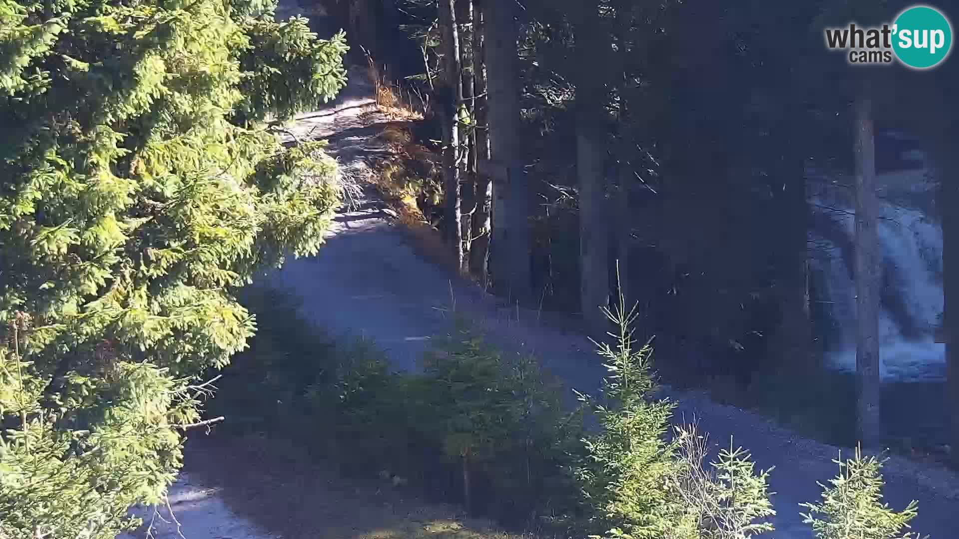 Live Rogla appartements Dandi – Jurgovo