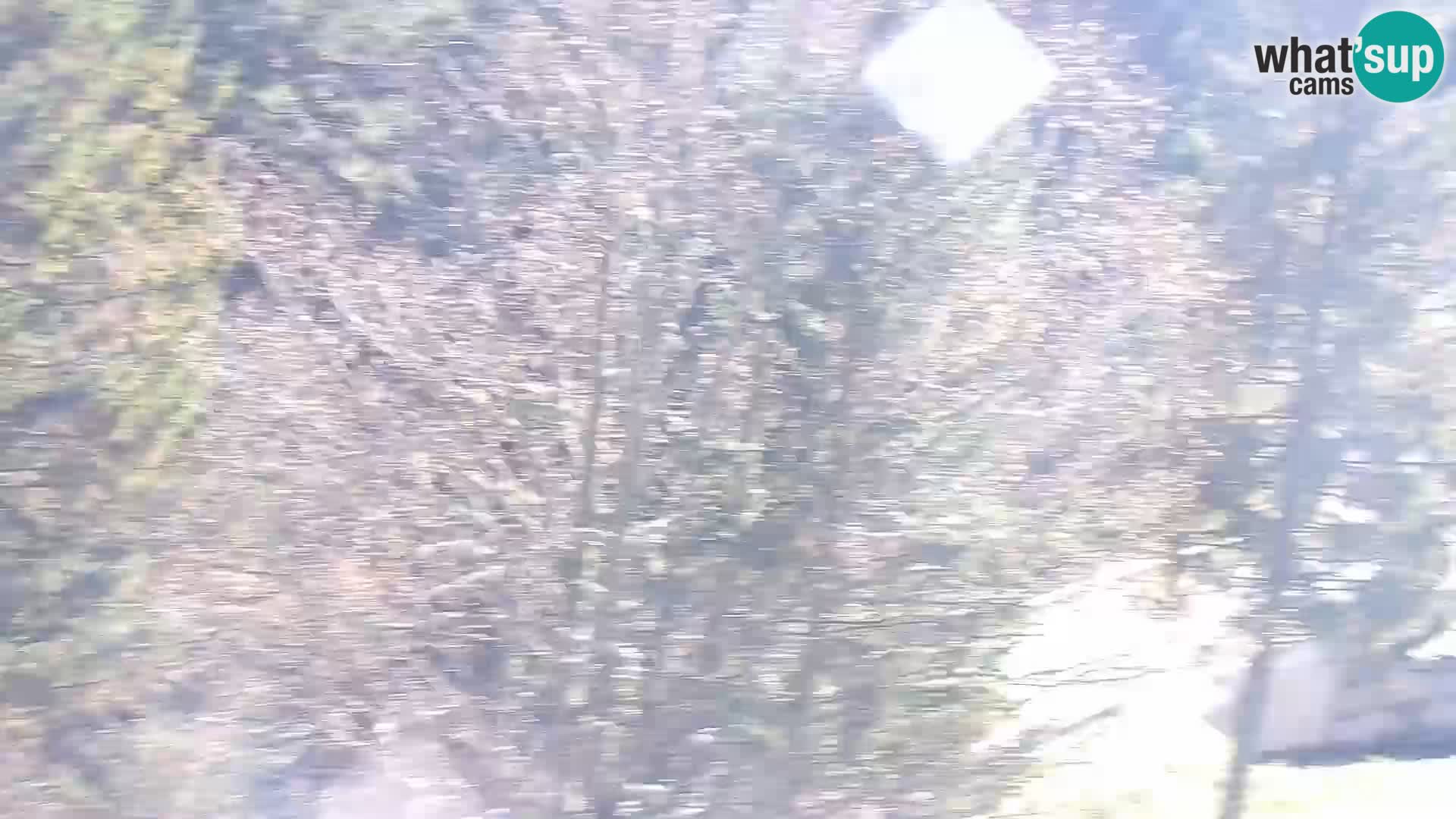 Spletna kamera Rogla apartmaji Dandi – Jurgovo