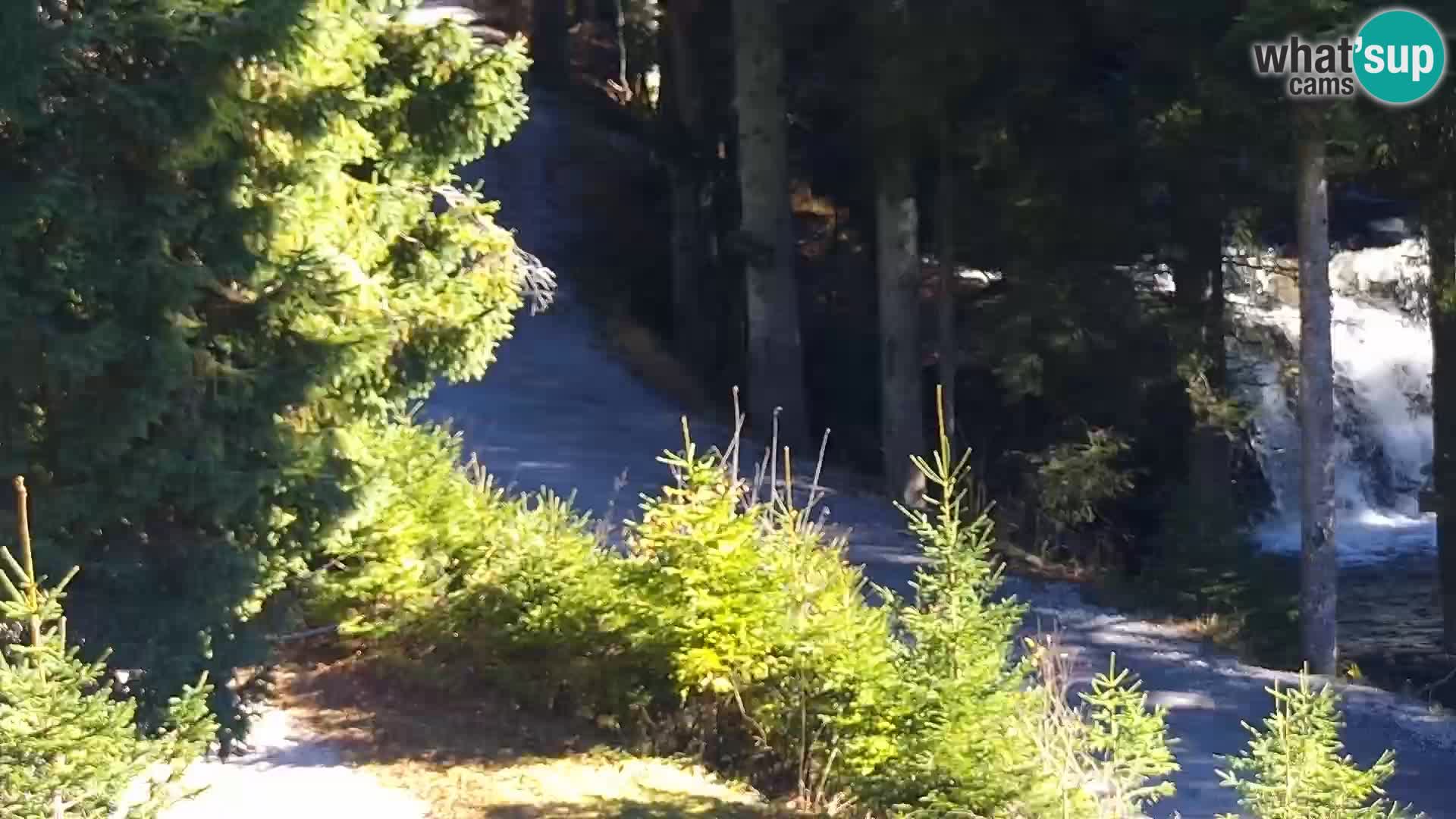 Web kamera Rogla apartmani Dandi – Jurgovo