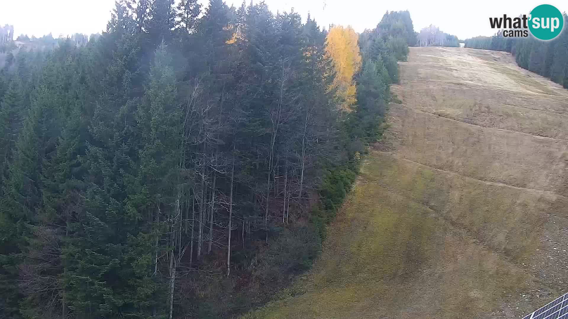 Live Rogla appartements Dandi – Jurgovo