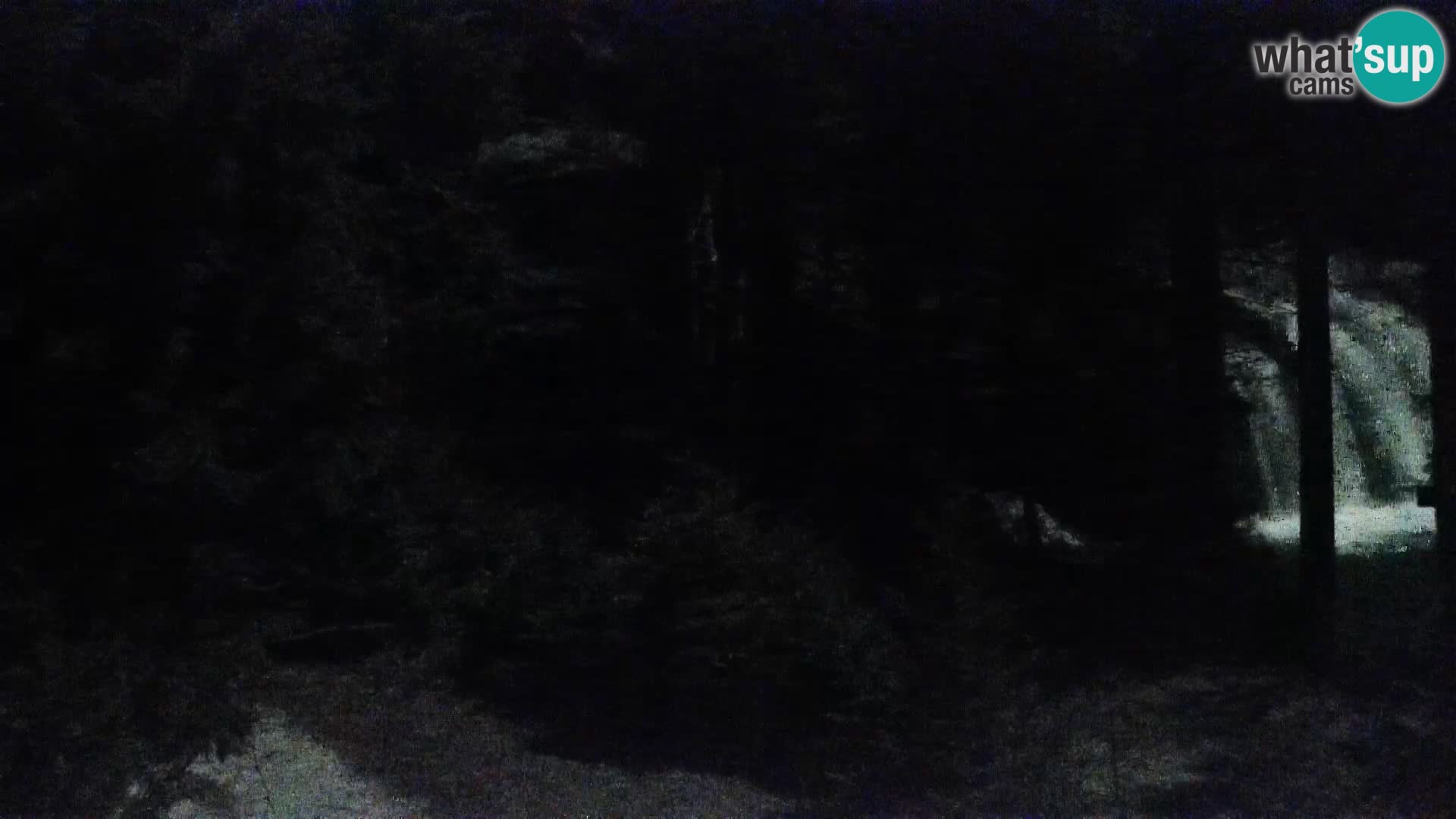 Web kamera Rogla apartmani Dandi – Jurgovo