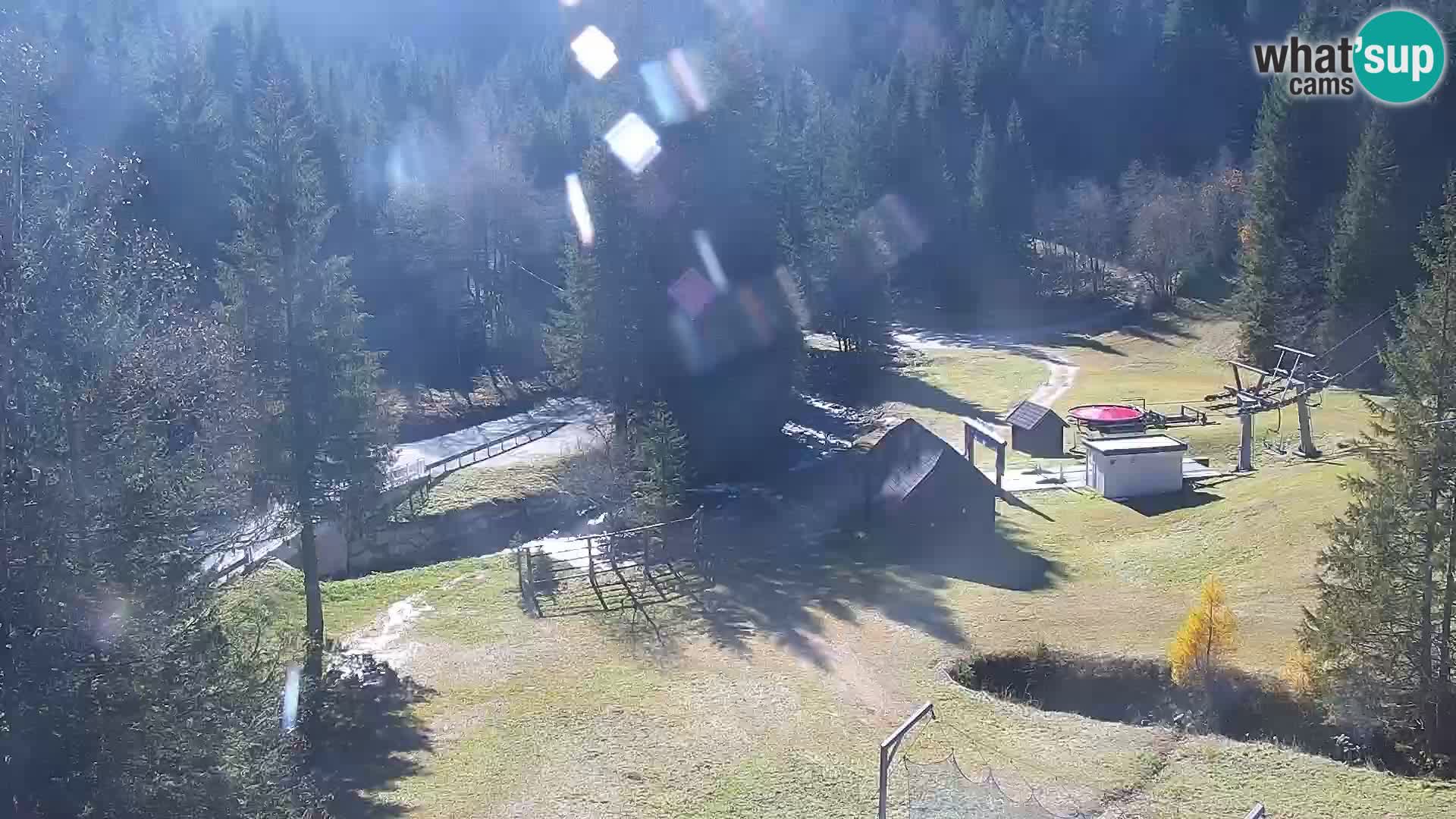 Live Rogla appartements Dandi – Jurgovo