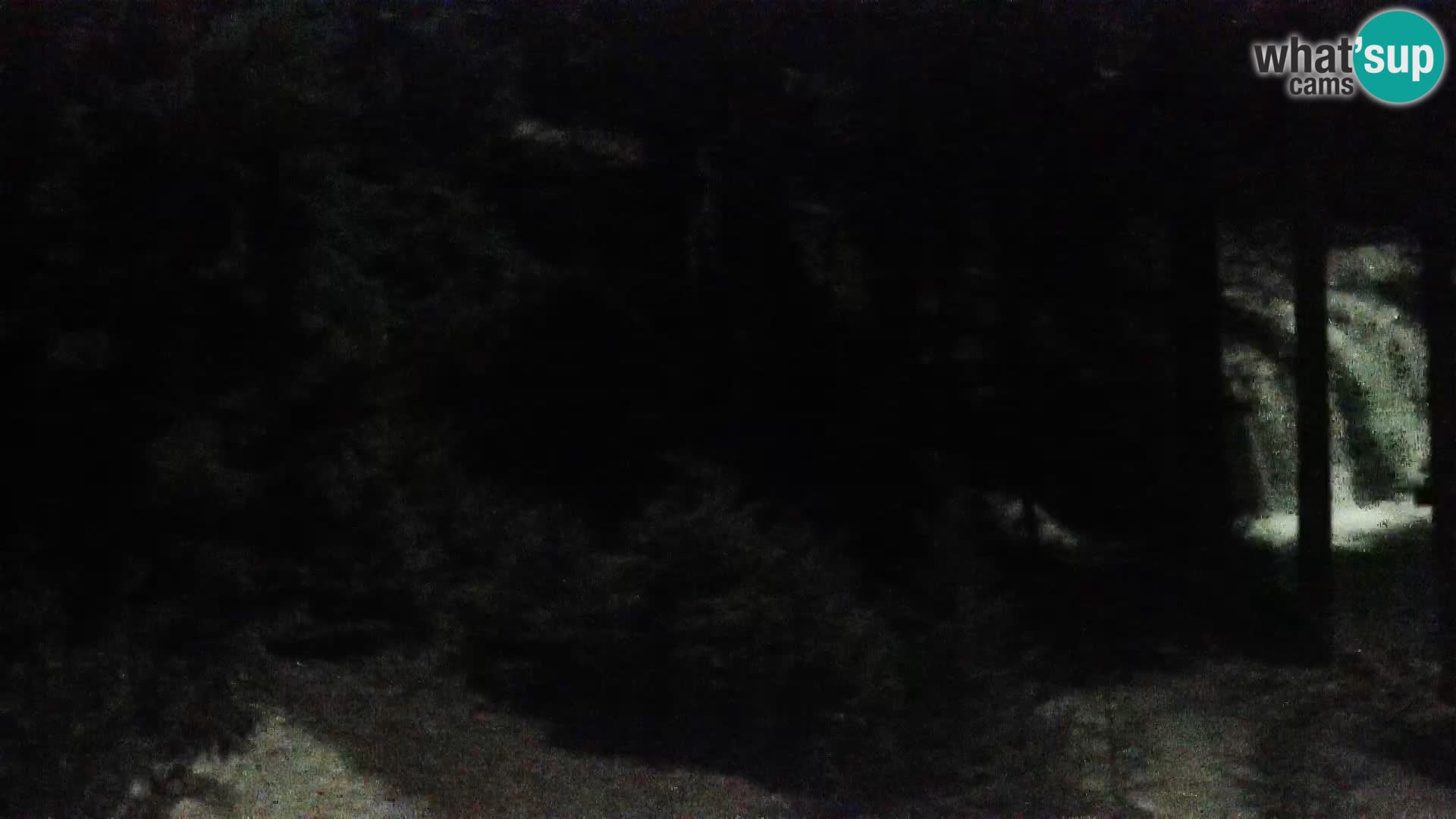 Webcam Rogla Wohnungen Dandi – Jurgovo