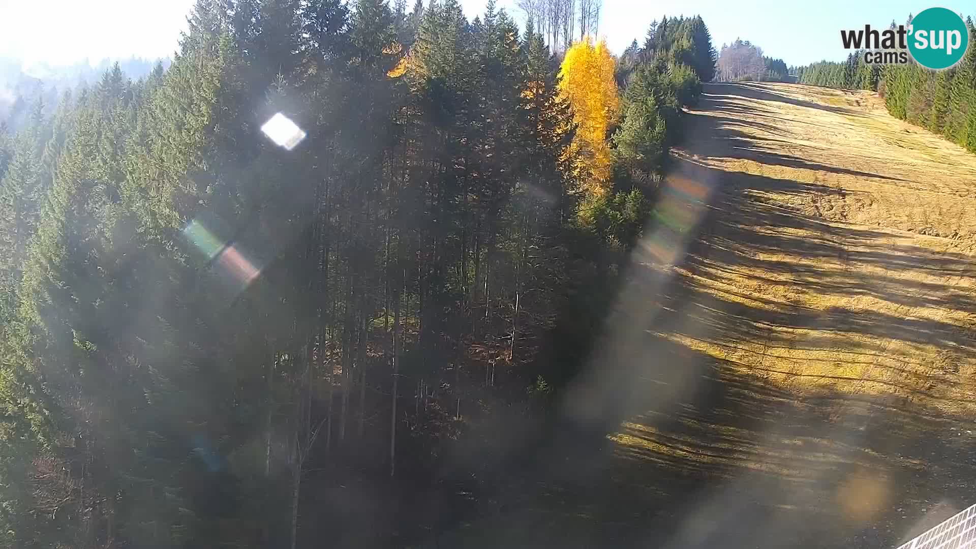 Live Rogla appartements Dandi – Jurgovo