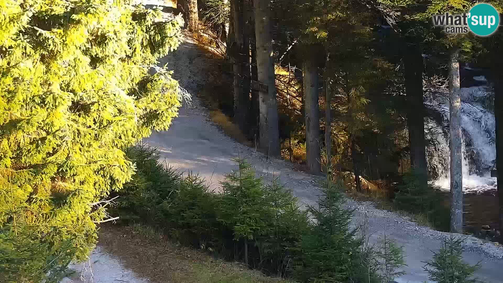 Spletna kamera Rogla apartmaji Dandi – Jurgovo