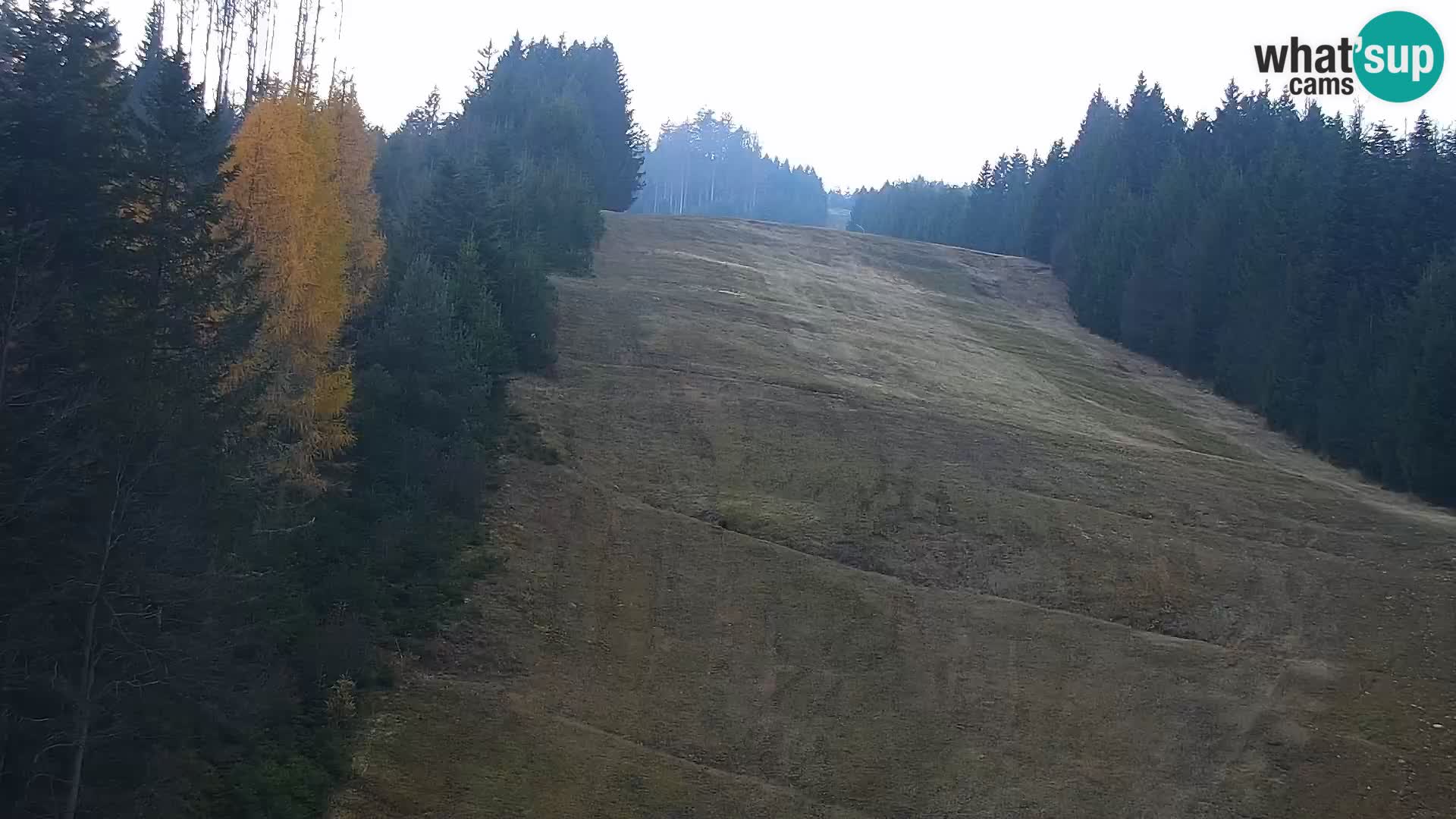 Spletna kamera Rogla apartmaji Dandi – Jurgovo